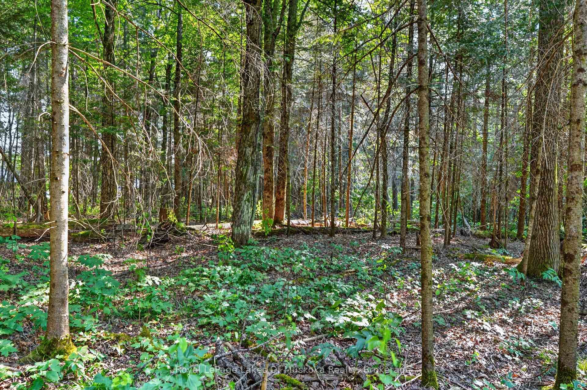 Photo 47 of 400 Chetwynd Road, Armour — HOMEH