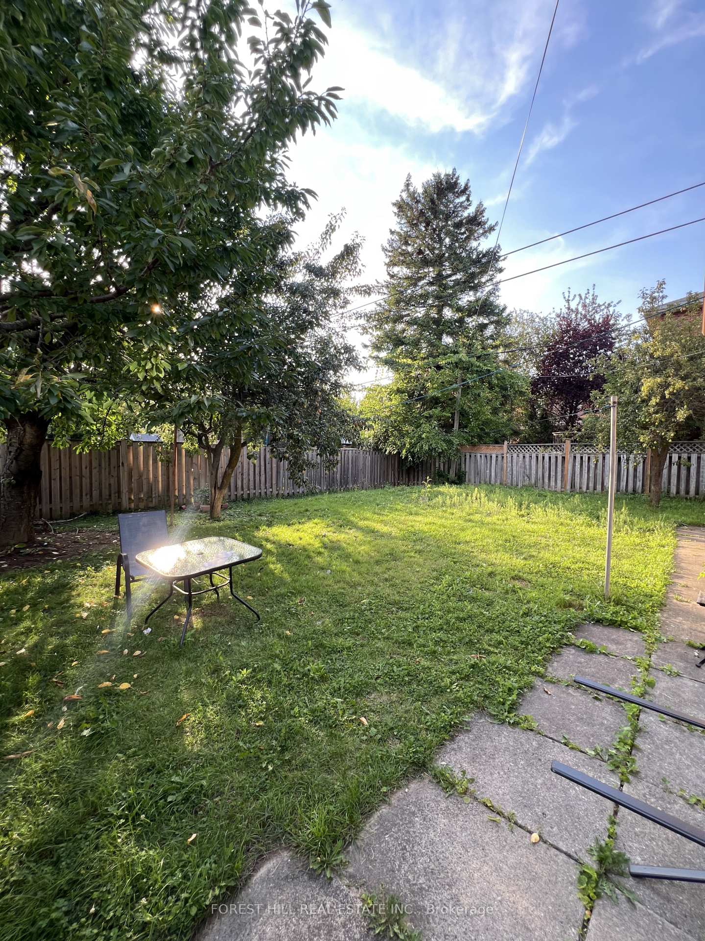 Photo 15 of Unit Main, 444 Longmore Street, North York, Willowdale East — HOMEH