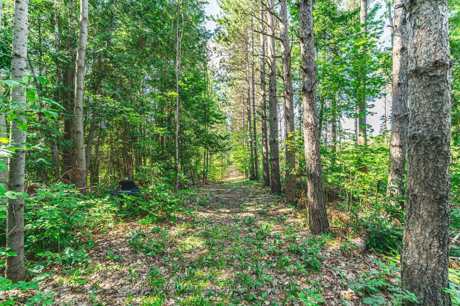 Photo 54 of 3891 9 Line N, Oro-Medonte, Rural Oro-Medonte — HOMEH