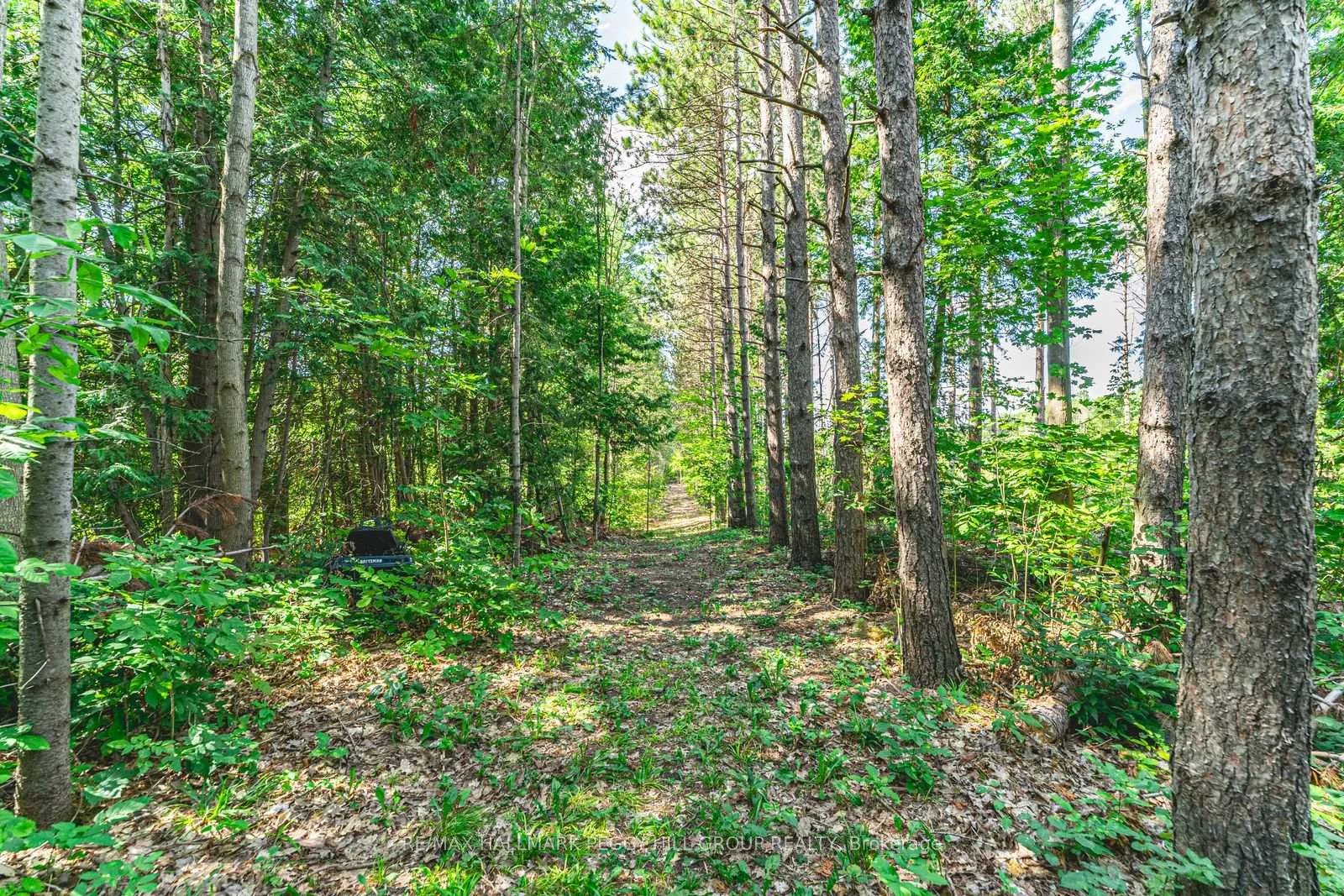 Photo 57 of 3891 9 Line N, Oro-Medonte, Rural Oro-Medonte — HOMEH