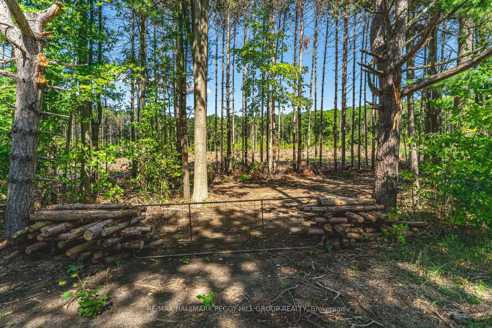 Photo 59 of 3891 9 Line N, Oro-Medonte, Rural Oro-Medonte — HOMEH