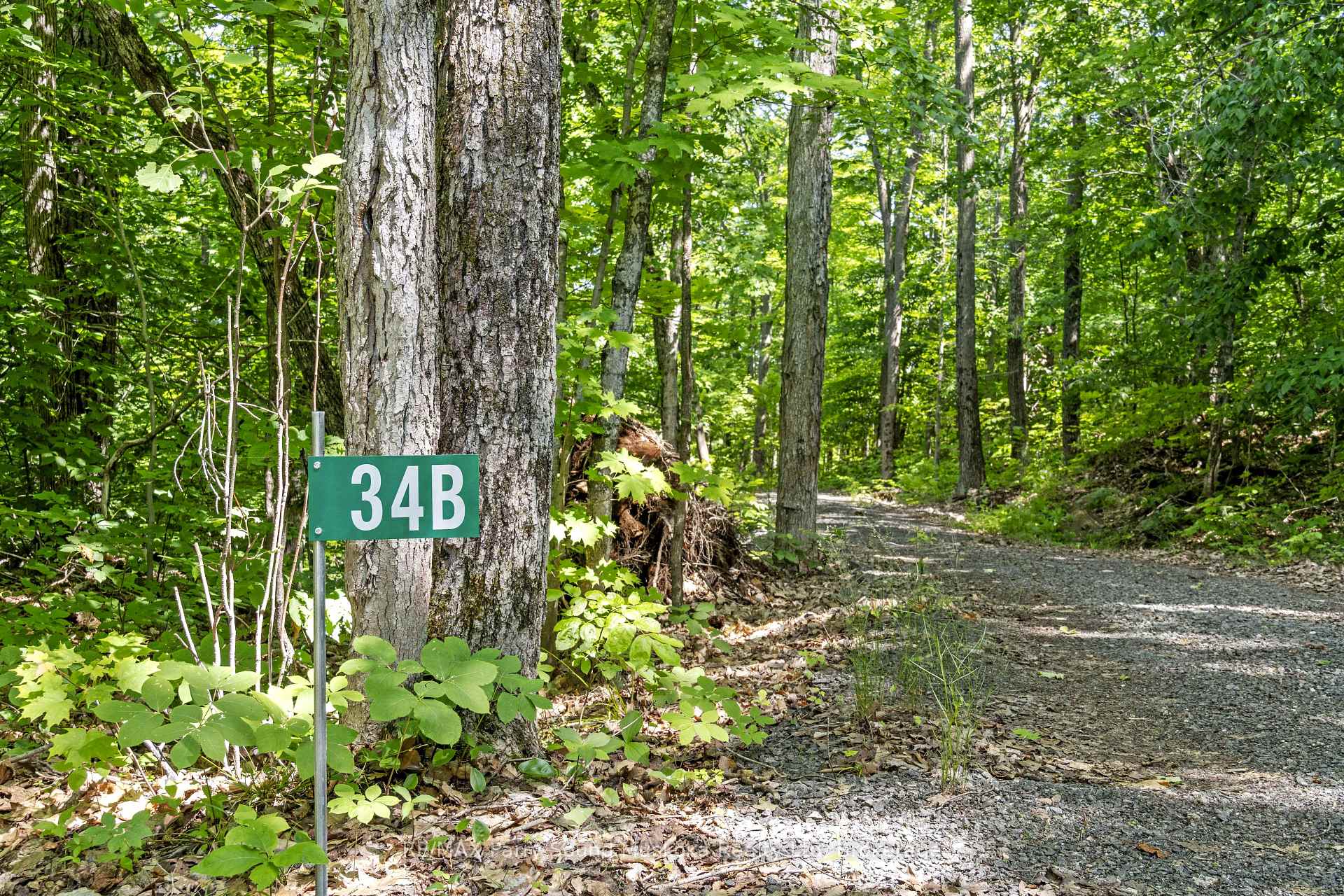 Photo 13 of 38 Fun Cottage Lane, McDougall — HOMEH