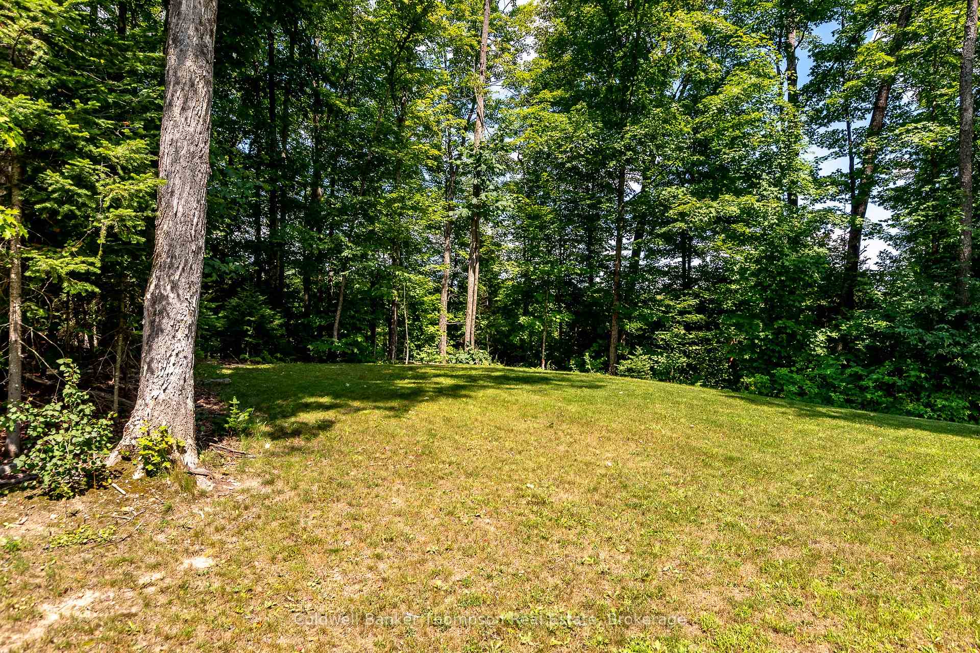Photo 39 of 753 Williamsport Road, Huntsville, Chaffey — HOMEH