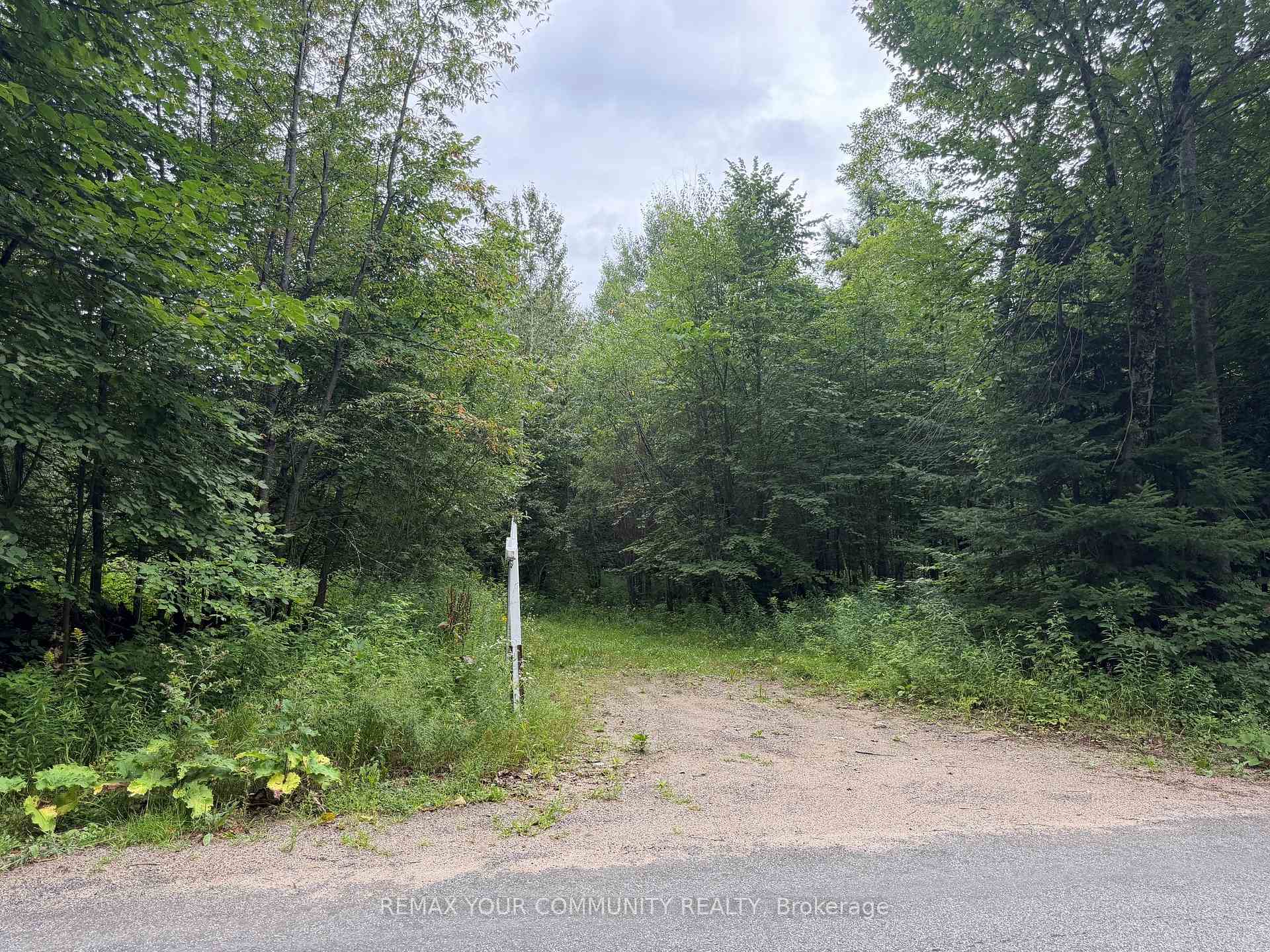 Photo 4 of McPhail Road, Algonquin Highlands, Stanhope — HOMEH