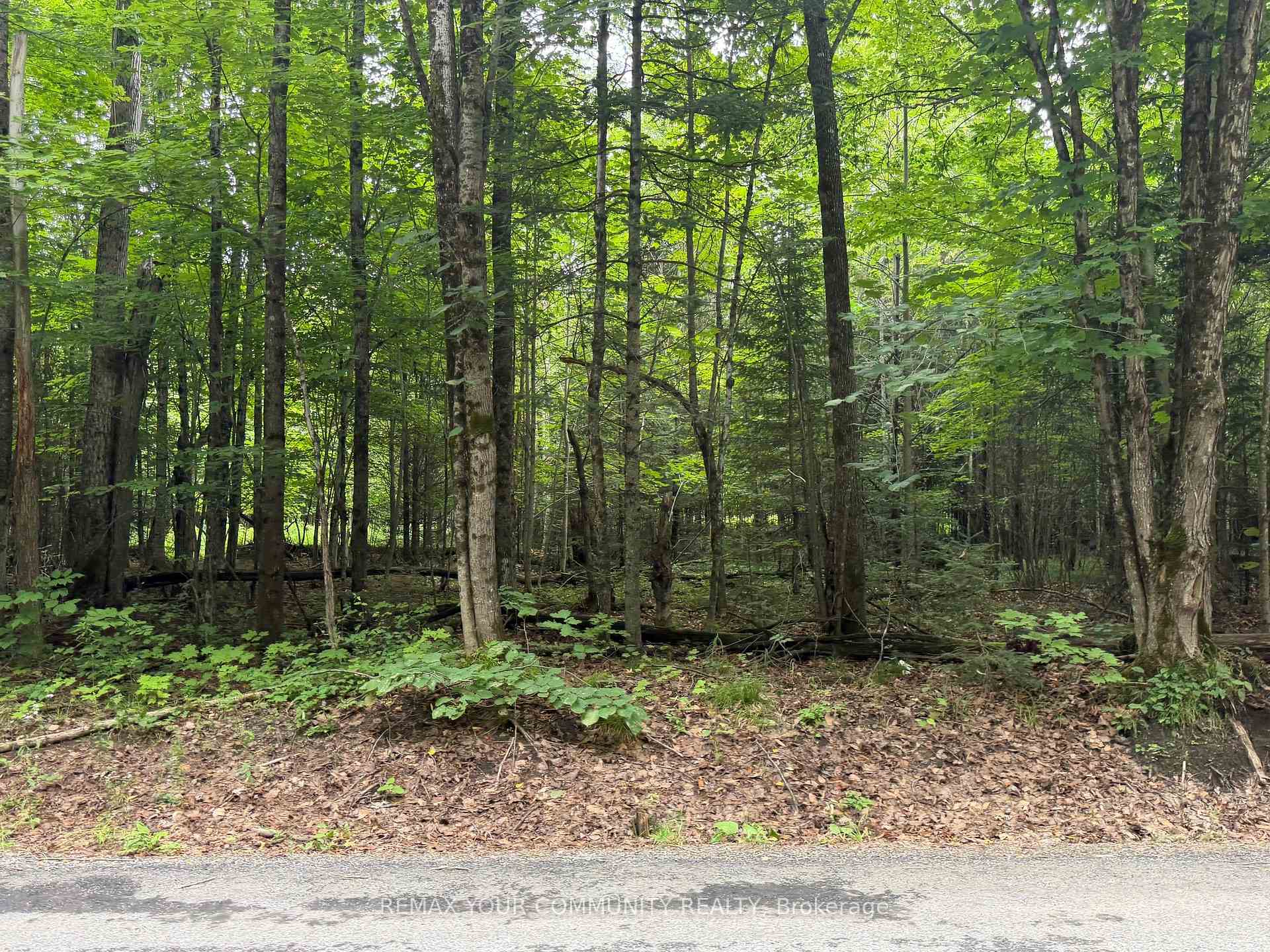 Photo 5 of McPhail Road, Algonquin Highlands, Stanhope — HOMEH