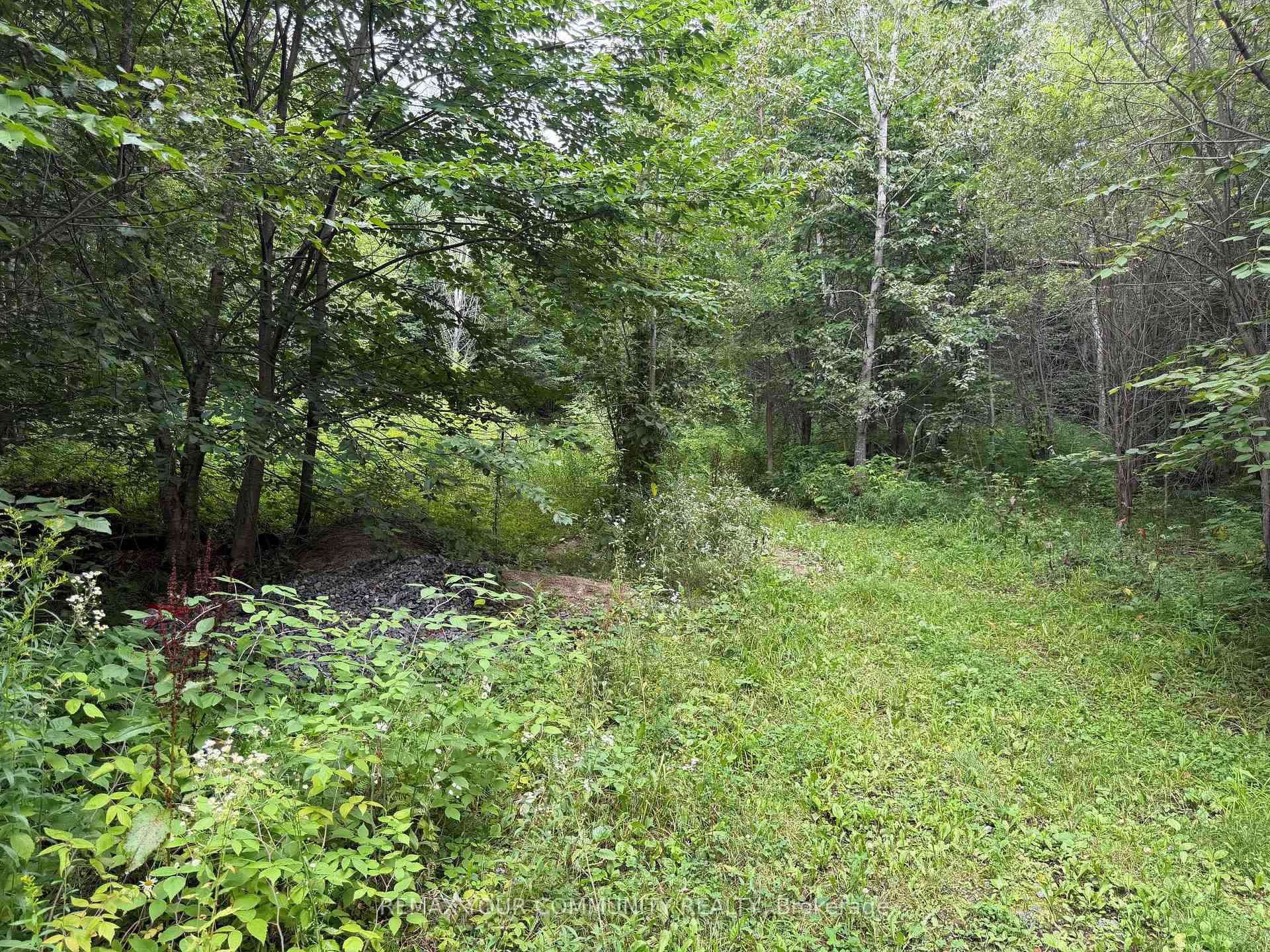 Photo 6 of McPhail Road, Algonquin Highlands, Stanhope — HOMEH