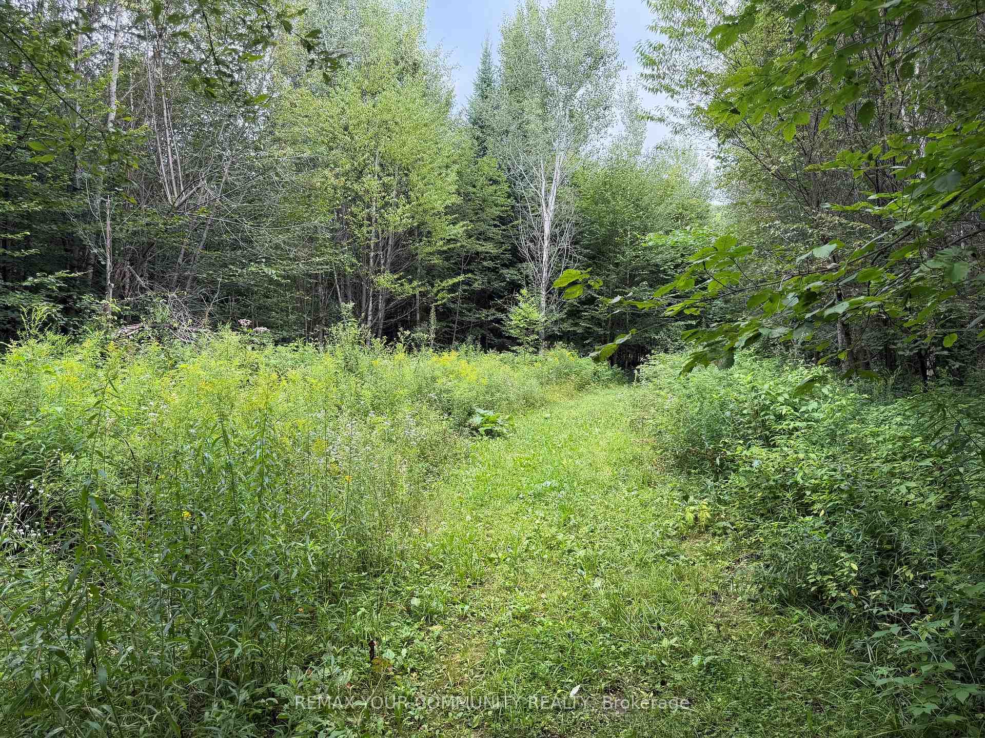 Photo 7 of McPhail Road, Algonquin Highlands, Stanhope — HOMEH