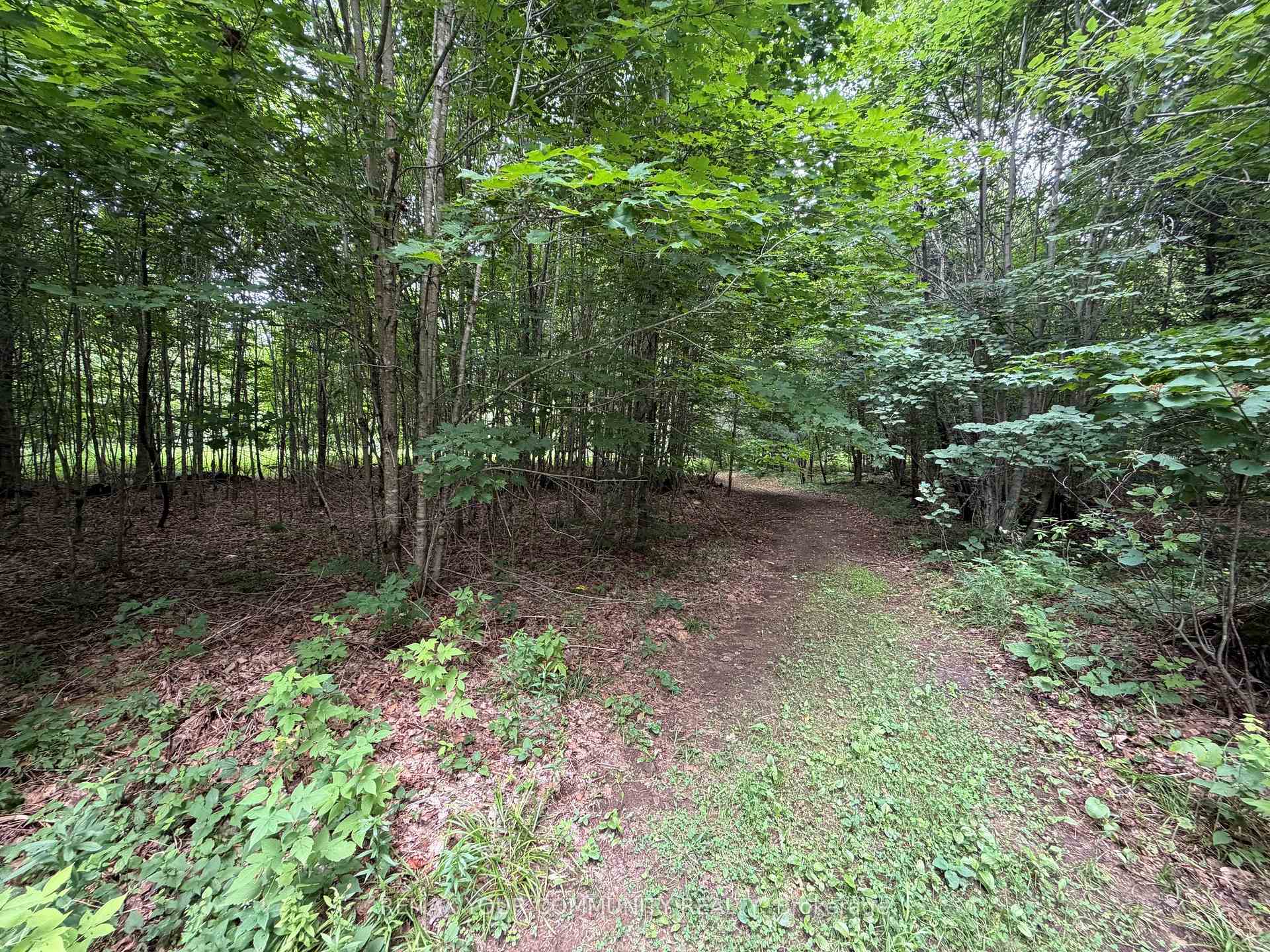 Photo 8 of McPhail Road, Algonquin Highlands, Stanhope — HOMEH