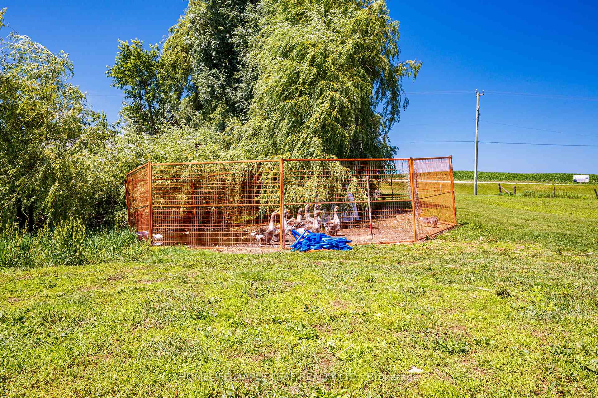 Photo 41 of Unit 17, 585437 County Road, Melancthon, Rural Melancthon — HOMEH