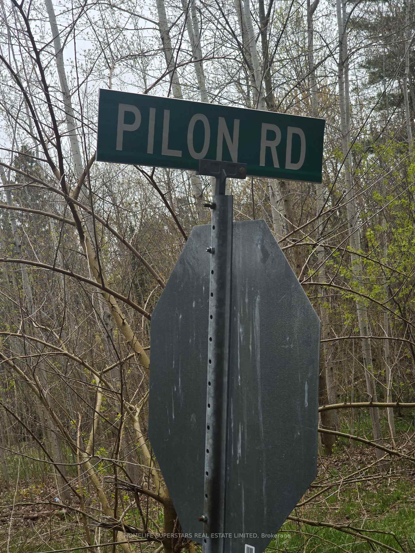 Photo 12 of LT 147 Pilon Road, Tiny, Rural Tiny — HOMEH