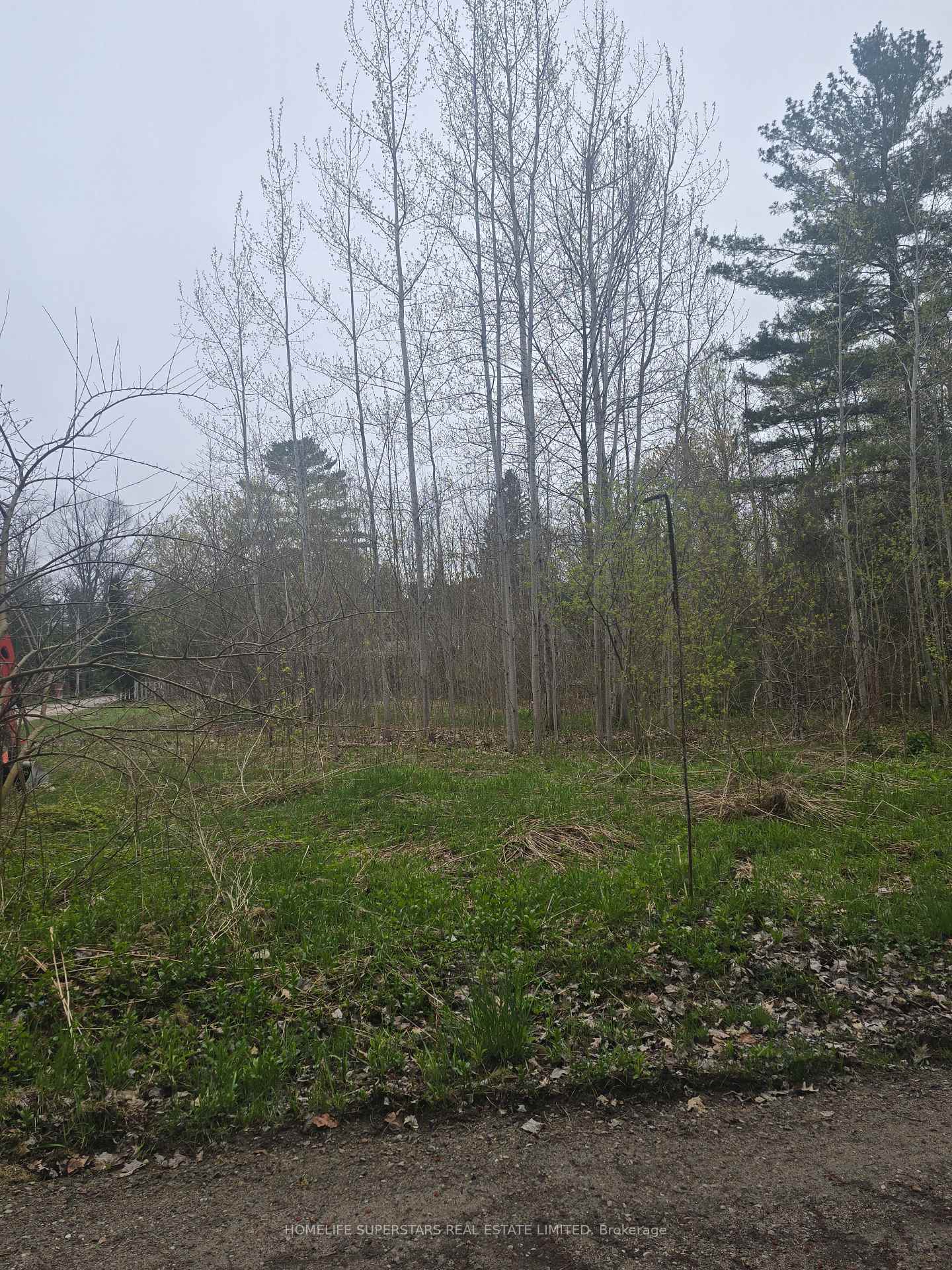 Photo 13 of LT 147 Pilon Road, Tiny, Rural Tiny — HOMEH