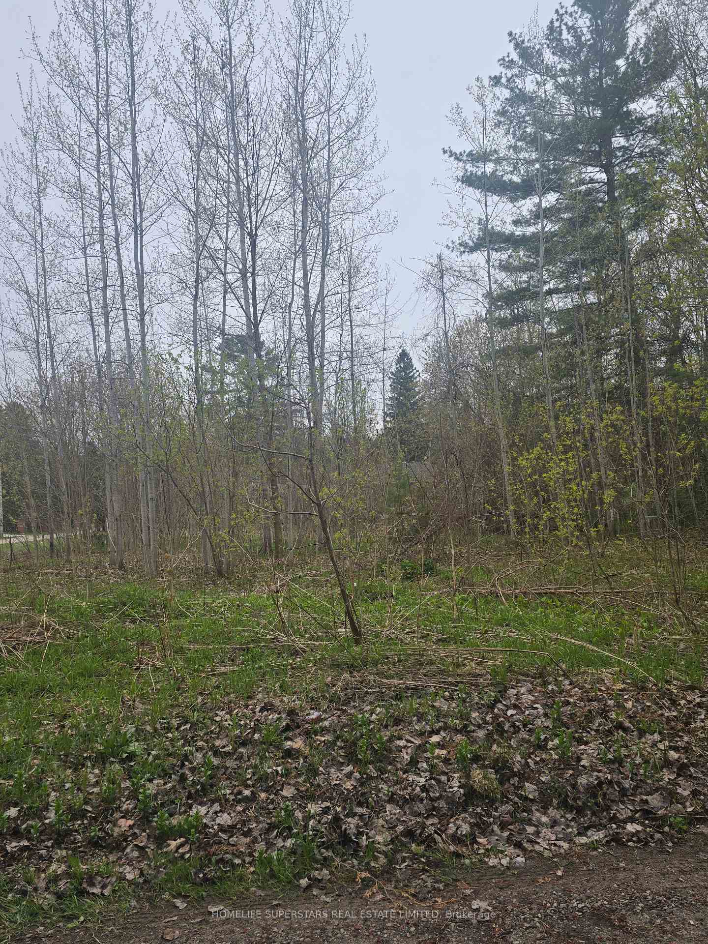 Photo 15 of LT 147 Pilon Road, Tiny, Rural Tiny — HOMEH