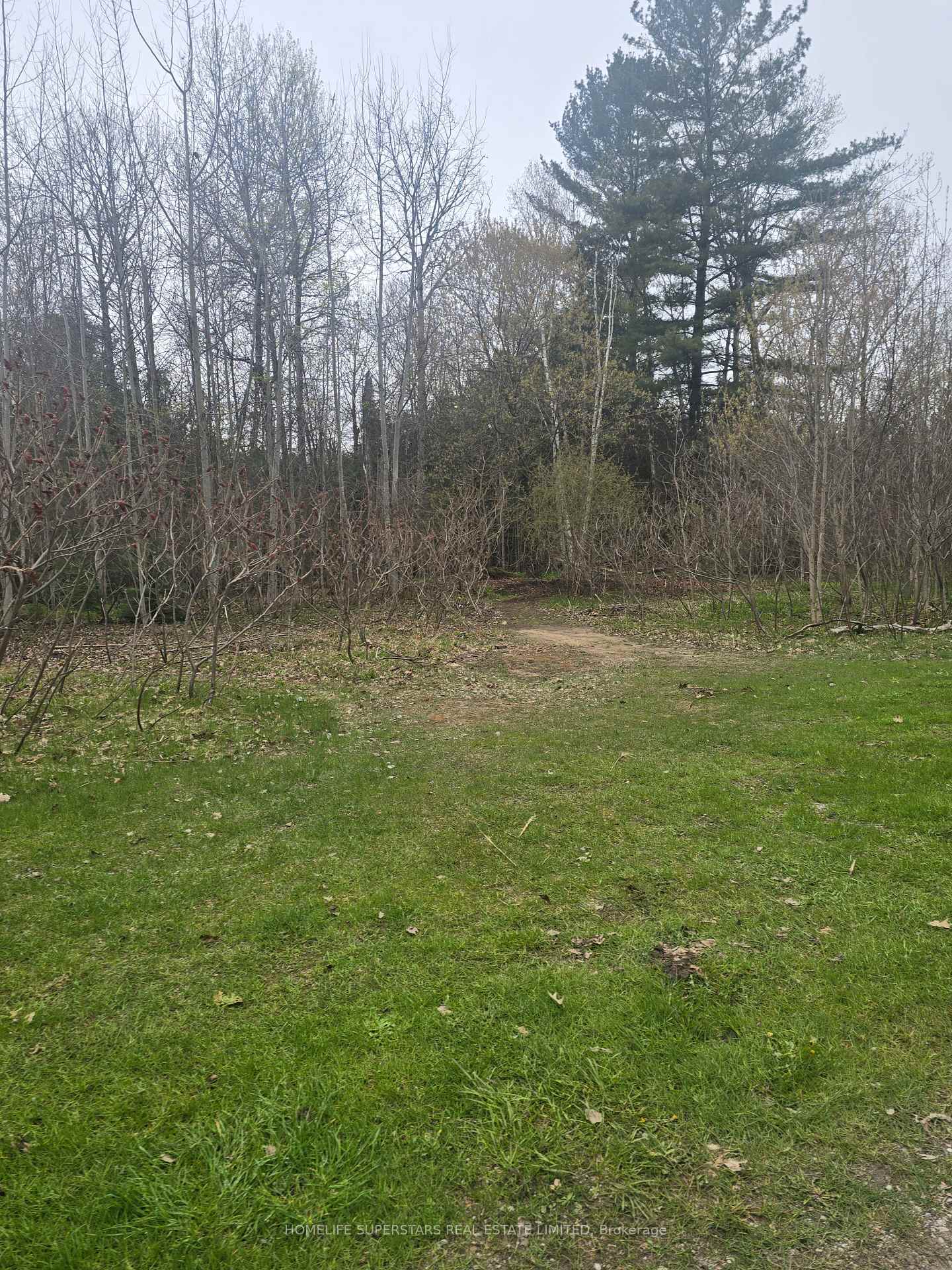 Photo 16 of LT 147 Pilon Road, Tiny, Rural Tiny — HOMEH