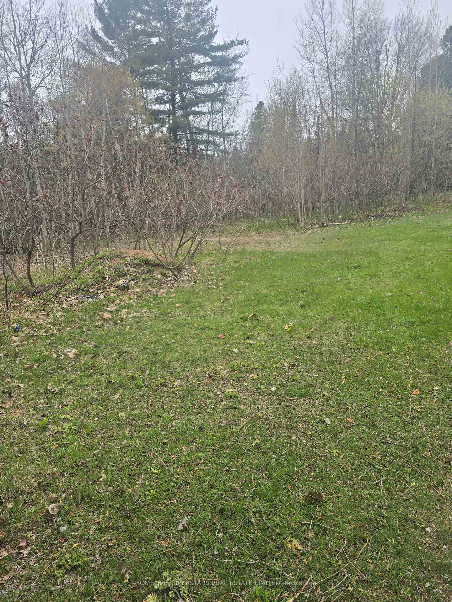 Photo 17 of LT 147 Pilon Road, Tiny, Rural Tiny — HOMEH