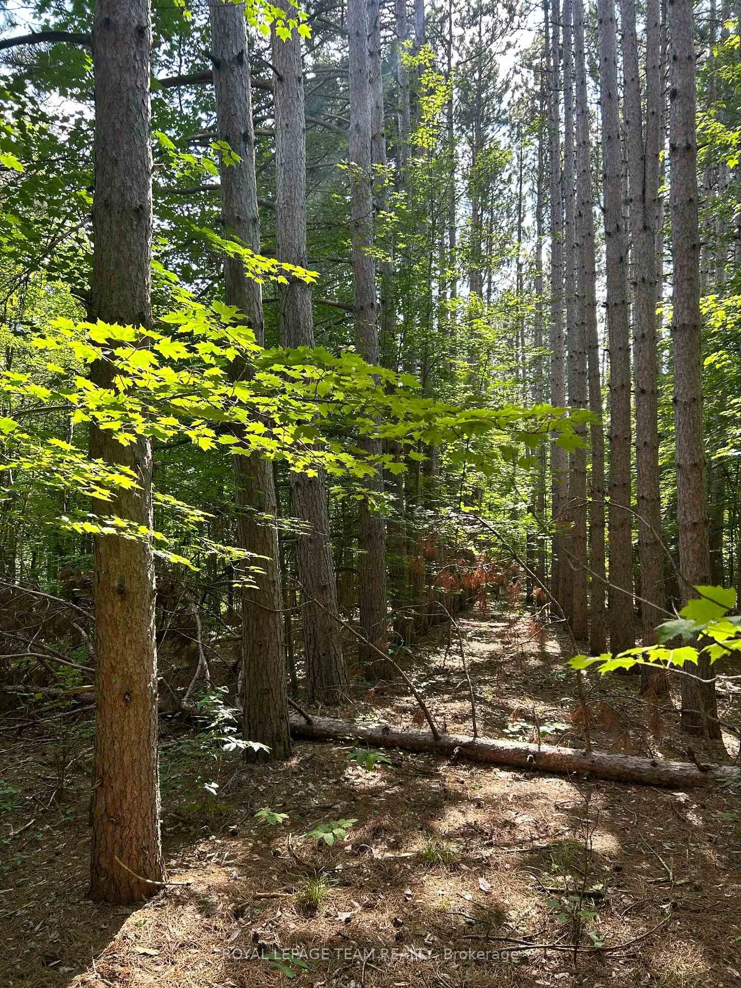 Photo 1 of Lot 8 Pond Road, Tay Valley, Bathurst/Burgess & Sherbrooke (South Sherbrooke) Twp — HOMEH