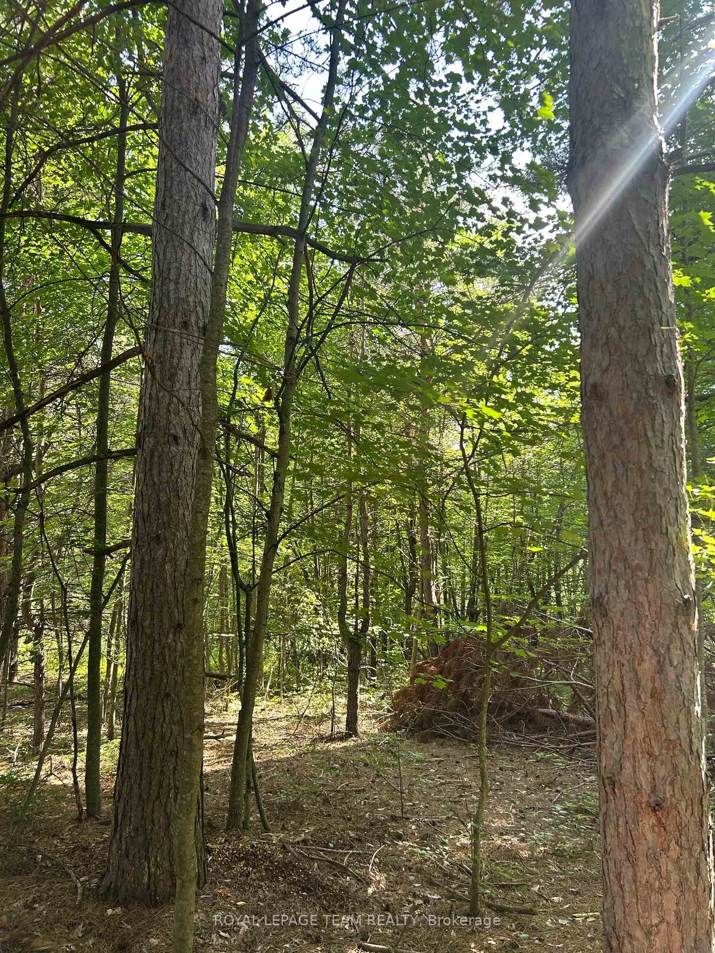 Photo 5 of Lot 8 Pond Road, Tay Valley, Bathurst/Burgess & Sherbrooke (South Sherbrooke) Twp — HOMEH