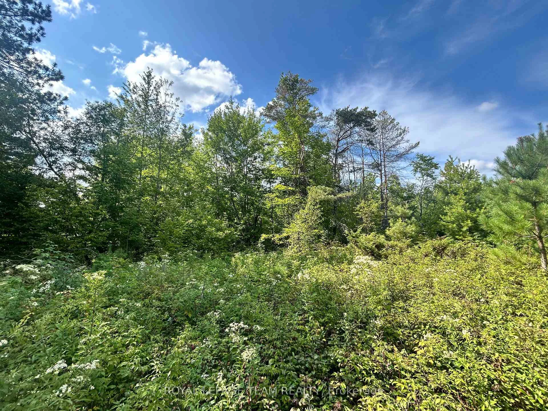 Photo 7 of Lot 8 Pond Road, Tay Valley, Bathurst/Burgess & Sherbrooke (South Sherbrooke) Twp — HOMEH