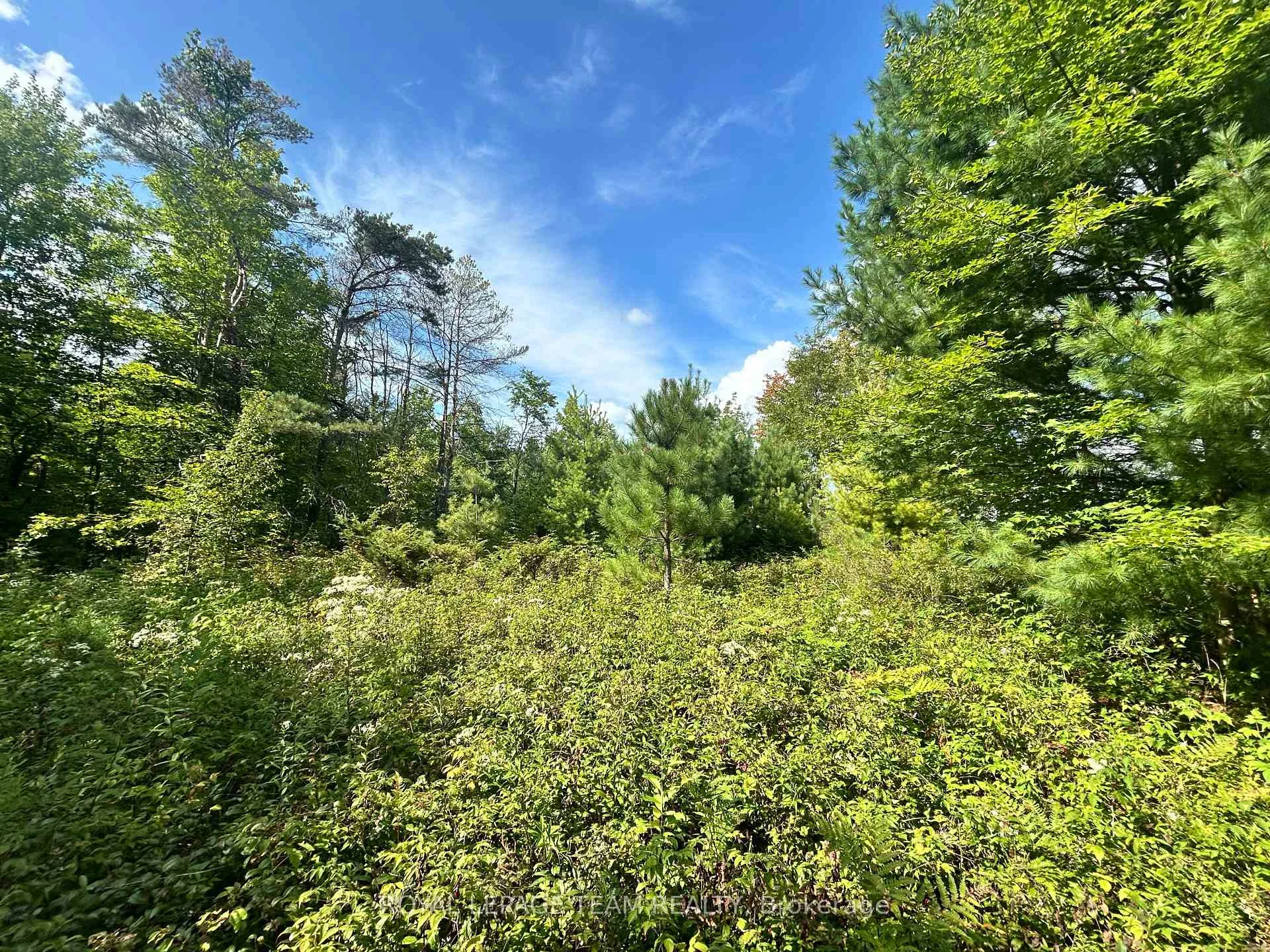 Photo 8 of Lot 8 Pond Road, Tay Valley, Bathurst/Burgess & Sherbrooke (South Sherbrooke) Twp — HOMEH