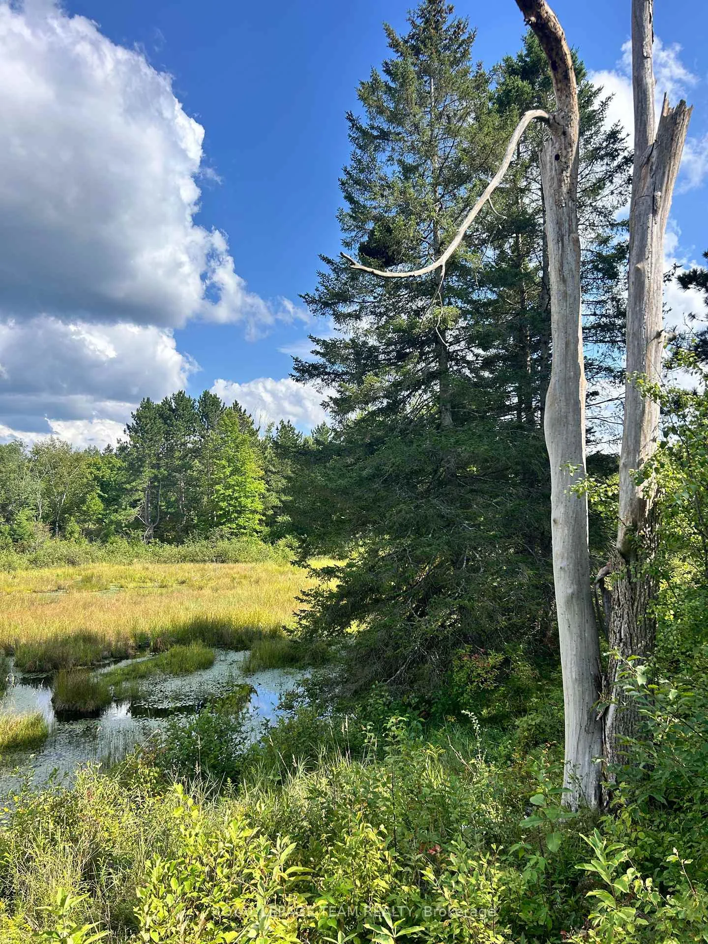 Photo 9 of Lot 8 Pond Road, Tay Valley, Bathurst/Burgess & Sherbrooke (South Sherbrooke) Twp — HOMEH