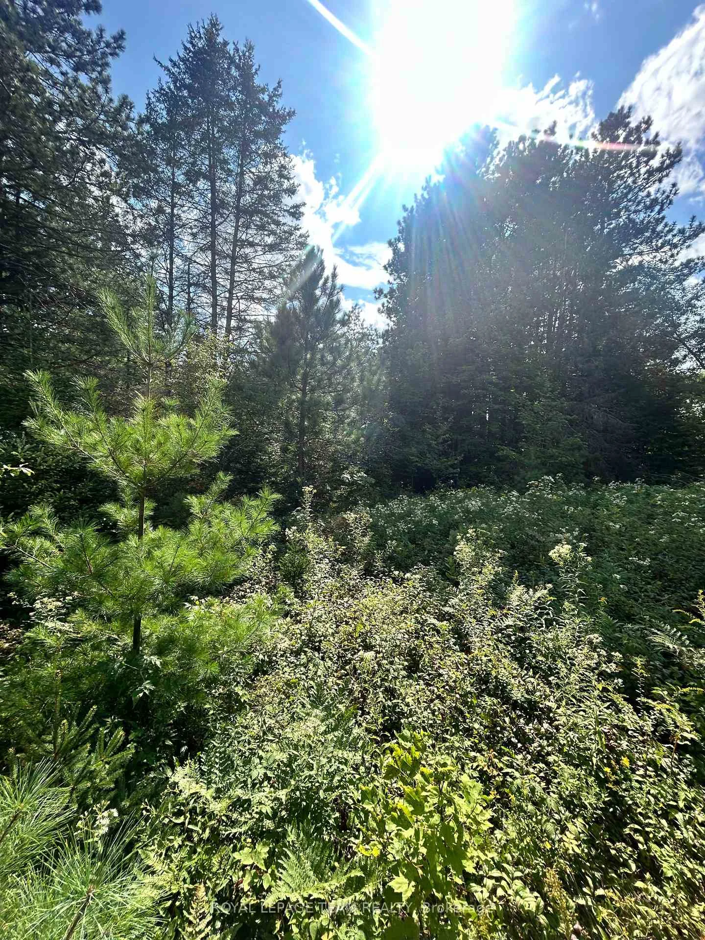 Photo 10 of Lot 8 Pond Road, Tay Valley, Bathurst/Burgess & Sherbrooke (South Sherbrooke) Twp — HOMEH
