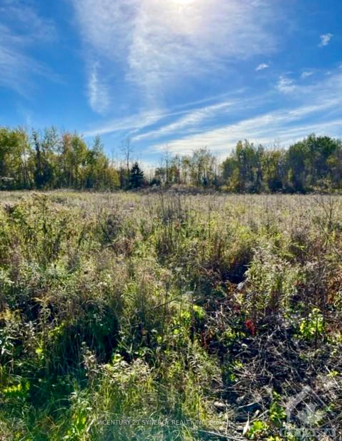 Photo of 25 Honey Bee Grove