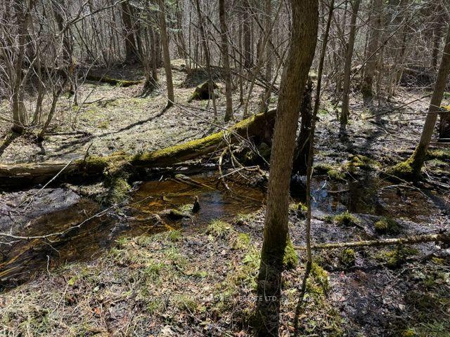 Photo 5 of 688 Prince Road E, Madawaska Valley, Madawaska Valley — HOMEH
