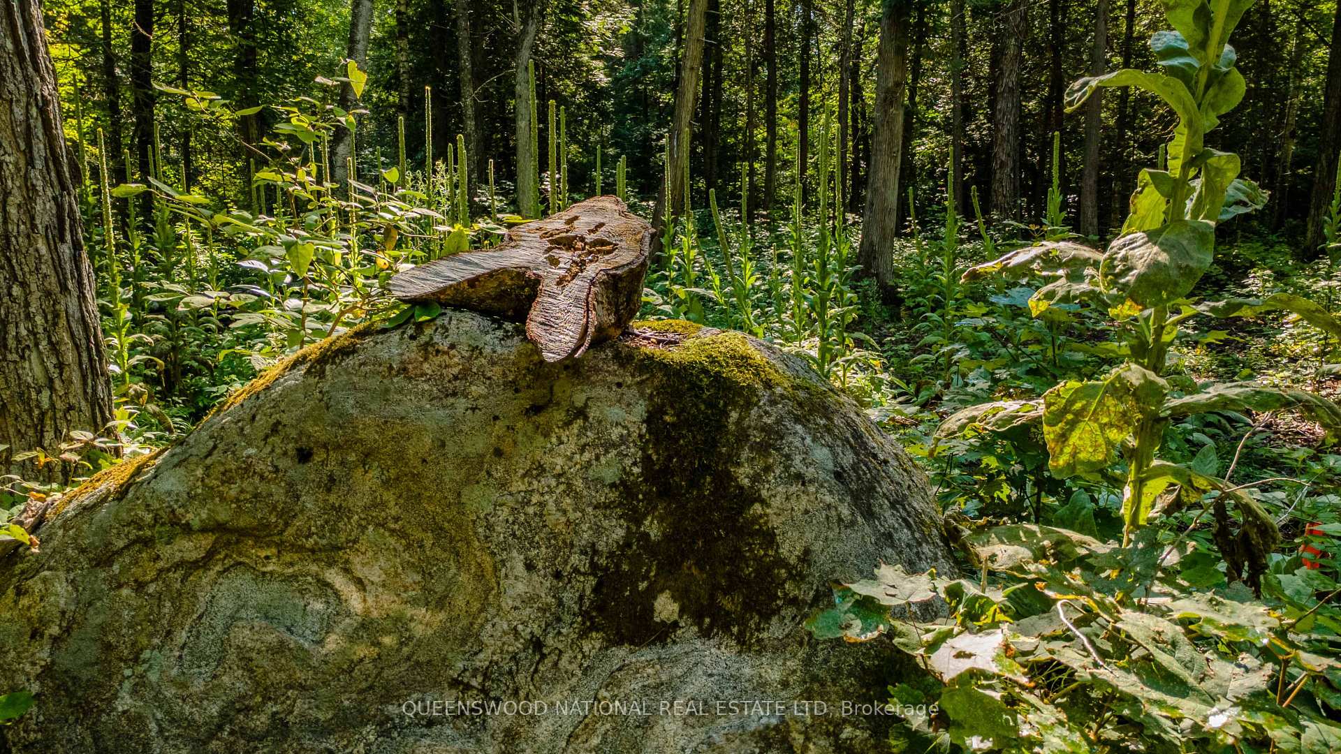 Photo 6 of 688 Prince Road E, Madawaska Valley, Madawaska Valley — HOMEH