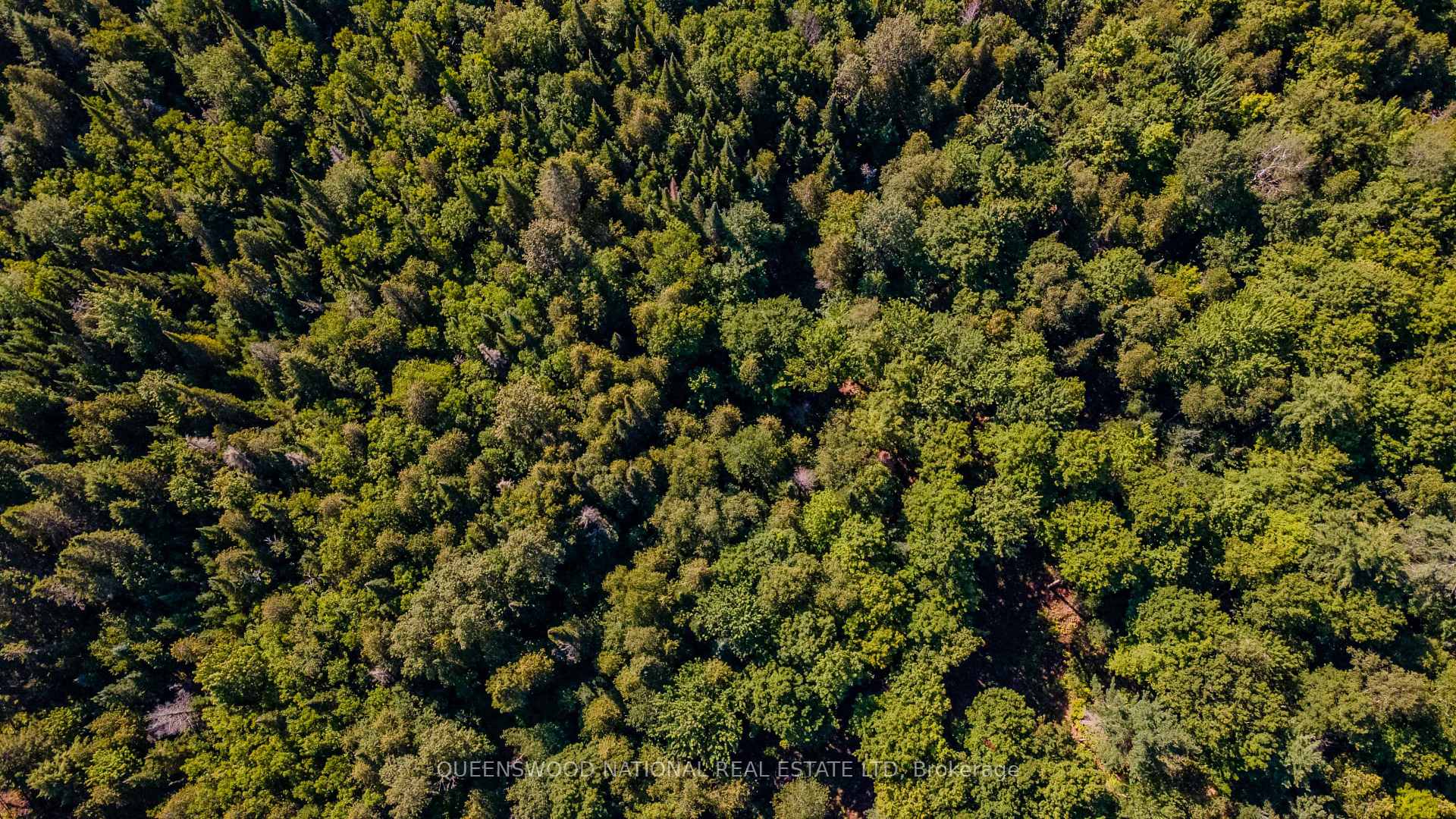 Photo 7 of 688 Prince Road E, Madawaska Valley, Madawaska Valley — HOMEH