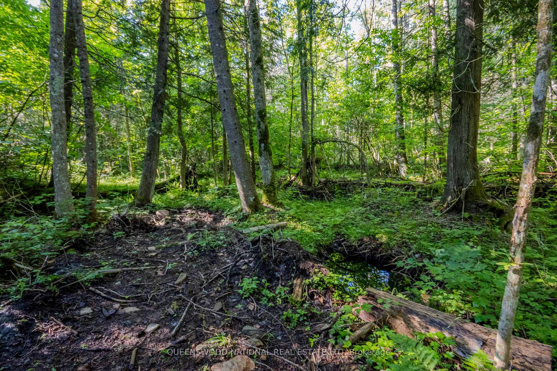 Photo 8 of 688 Prince Road E, Madawaska Valley, Madawaska Valley — HOMEH