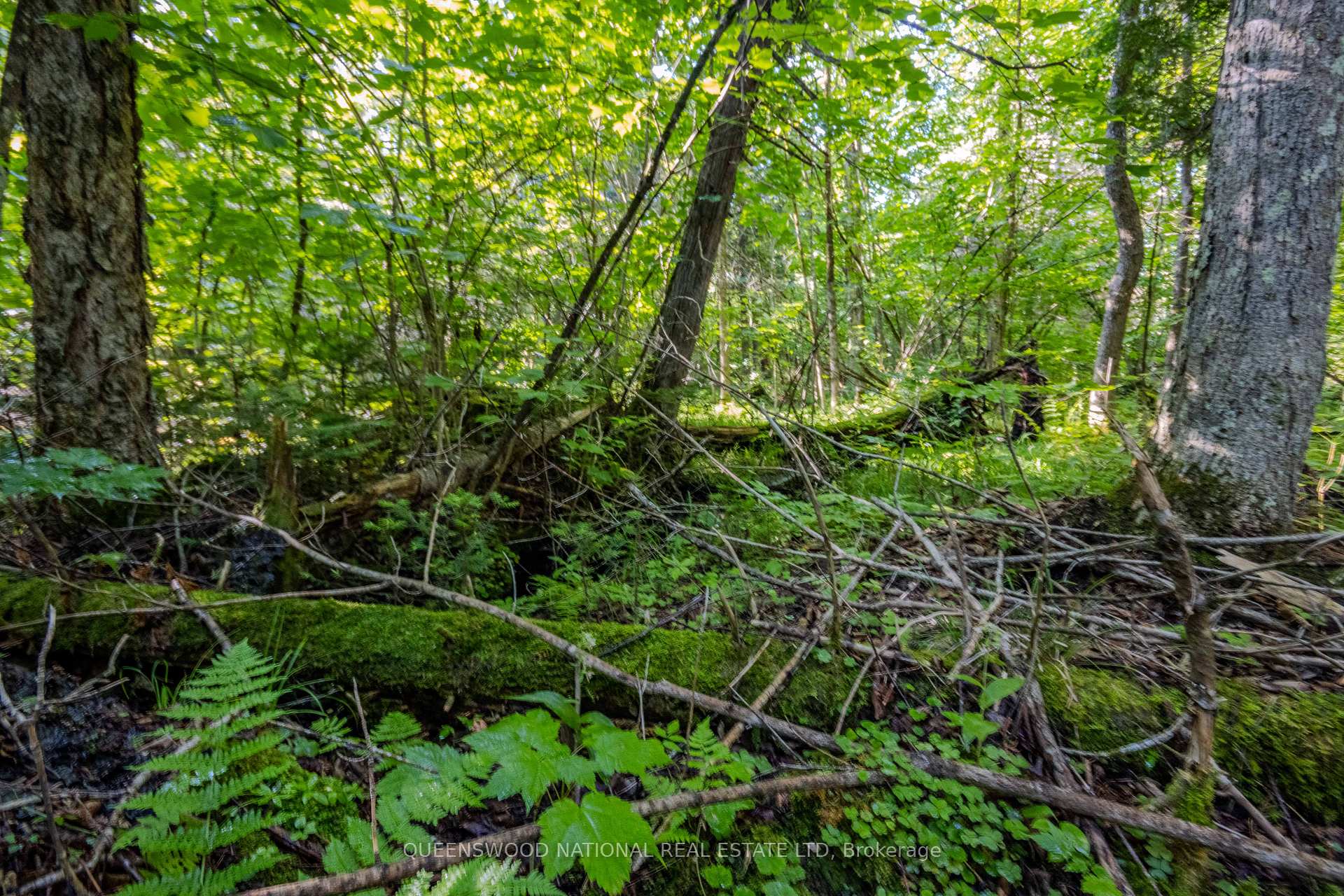 Photo 9 of 688 Prince Road E, Madawaska Valley, Madawaska Valley — HOMEH