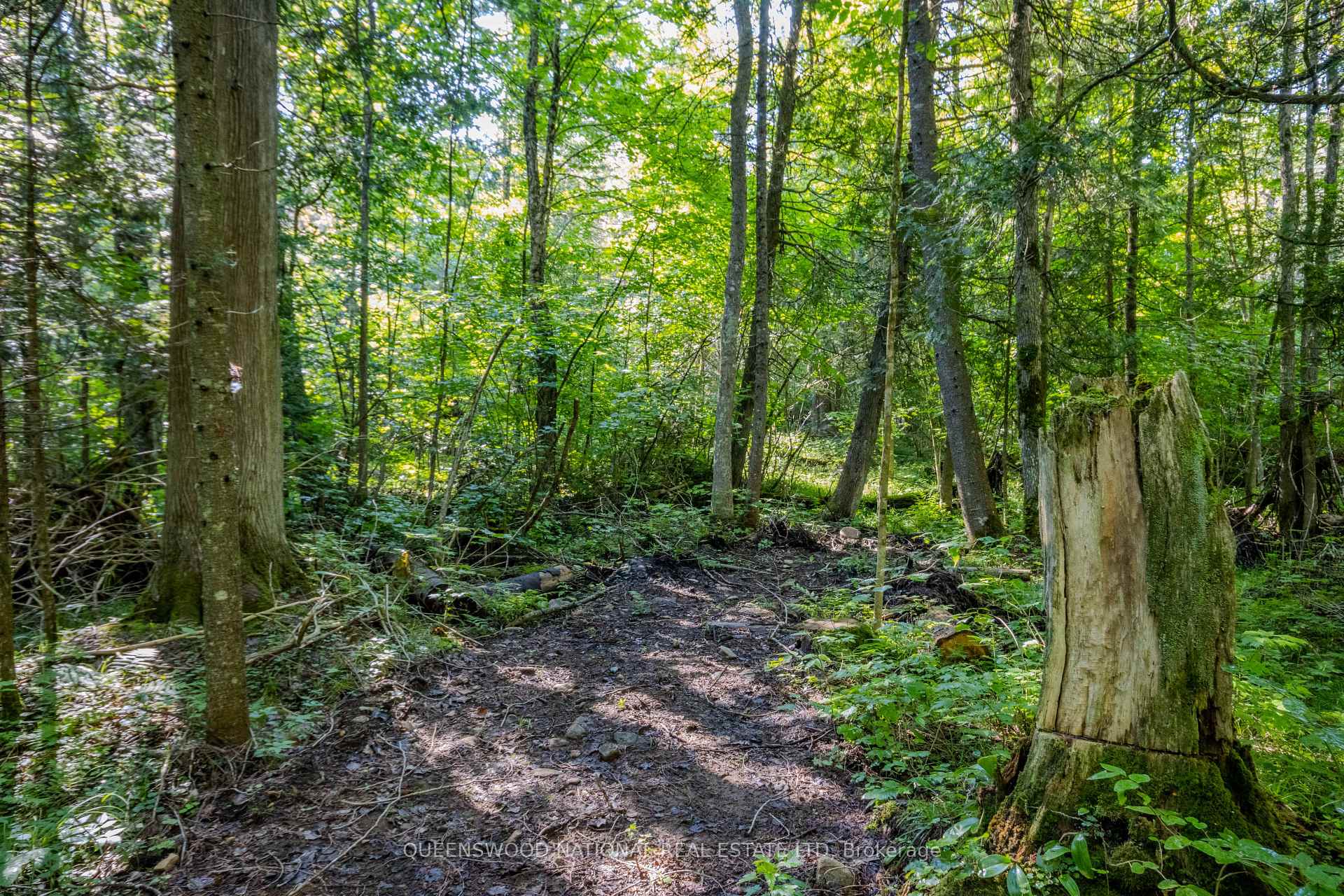 Photo 11 of 688 Prince Road E, Madawaska Valley, Madawaska Valley — HOMEH