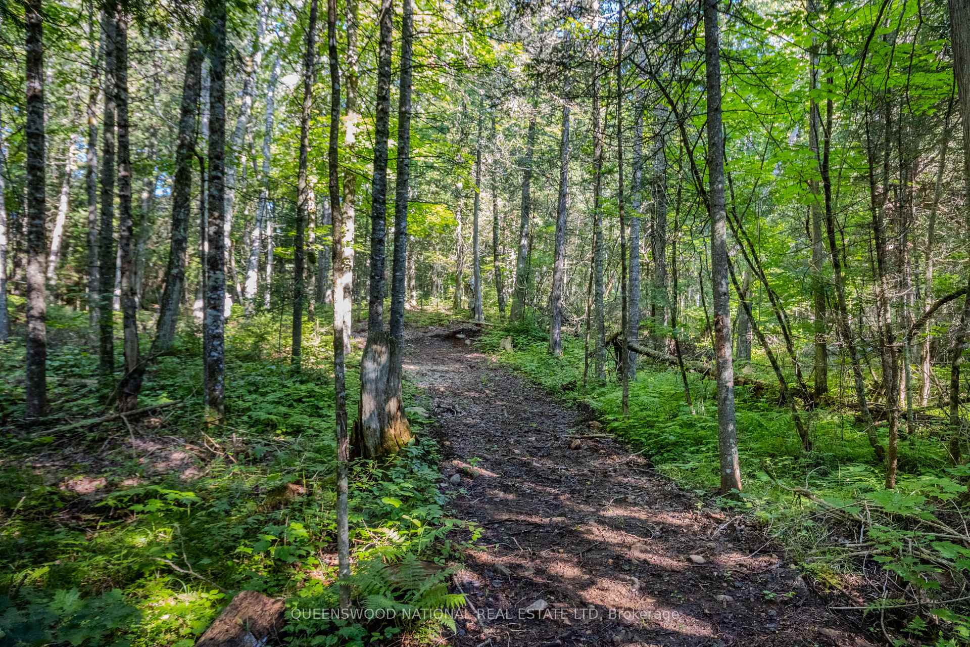 Photo 12 of 688 Prince Road E, Madawaska Valley, Madawaska Valley — HOMEH