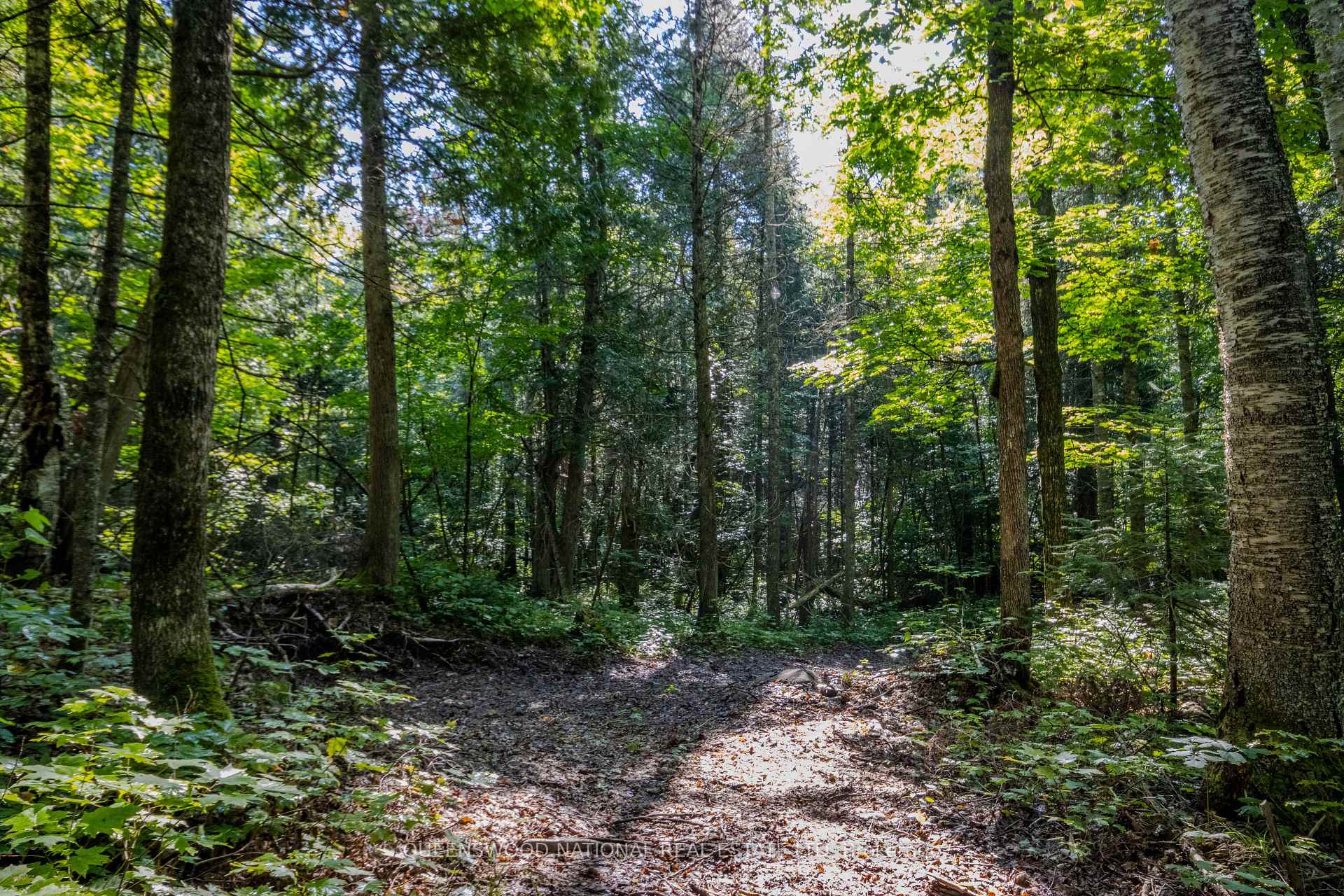Photo 13 of 688 Prince Road E, Madawaska Valley, Madawaska Valley — HOMEH