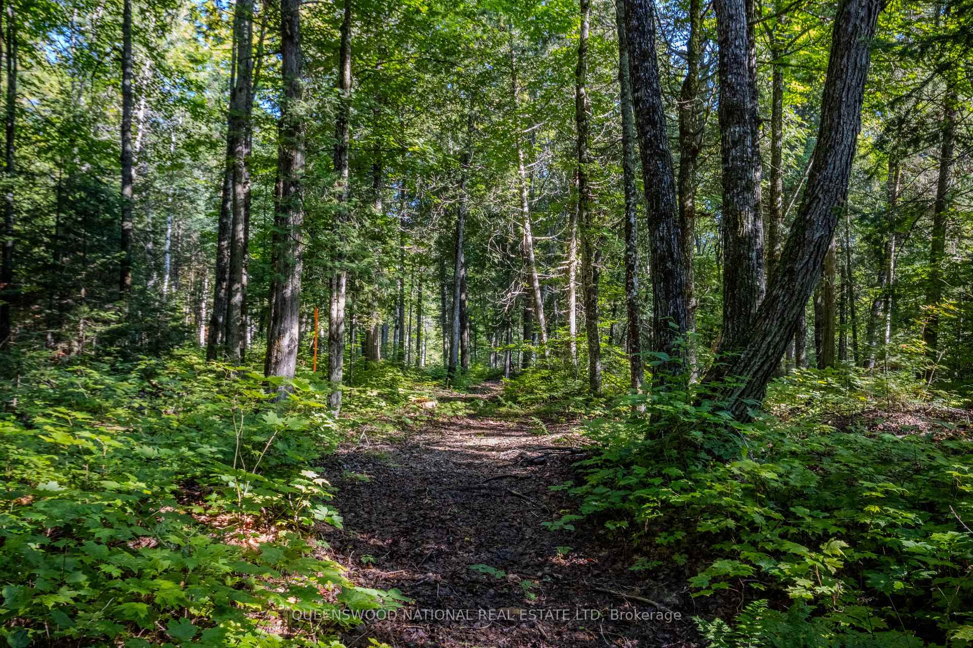 Photo 14 of 688 Prince Road E, Madawaska Valley, Madawaska Valley — HOMEH