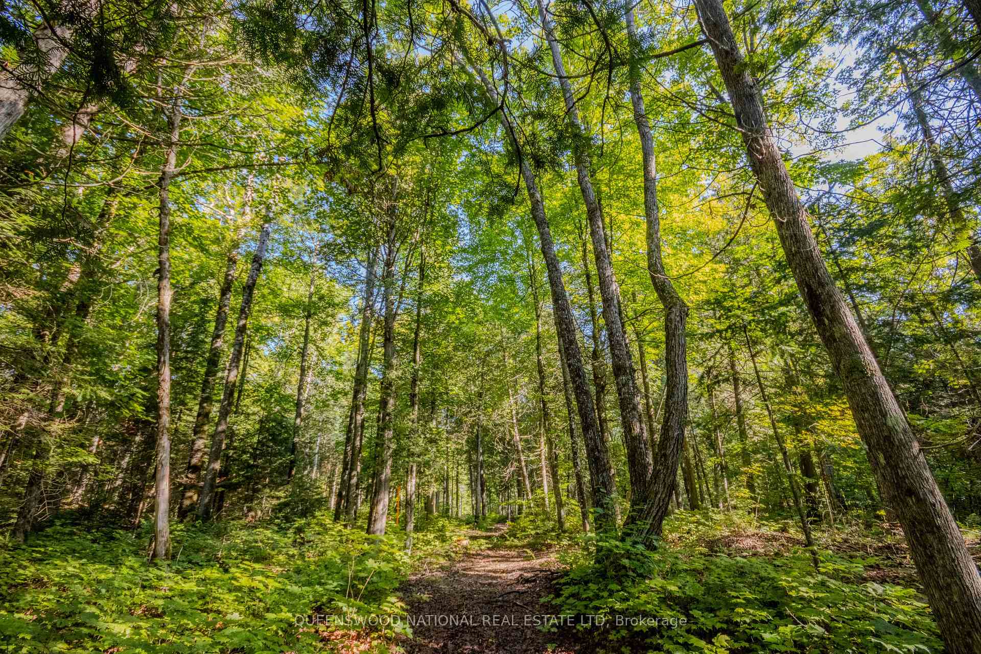 Photo 15 of 688 Prince Road E, Madawaska Valley, Madawaska Valley — HOMEH