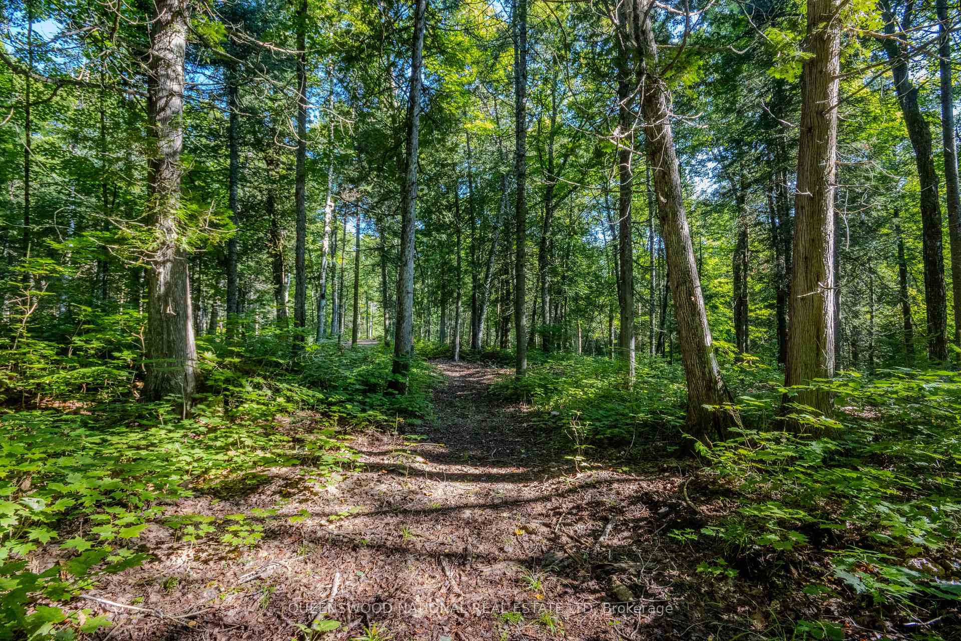 Photo 16 of 688 Prince Road E, Madawaska Valley, Madawaska Valley — HOMEH