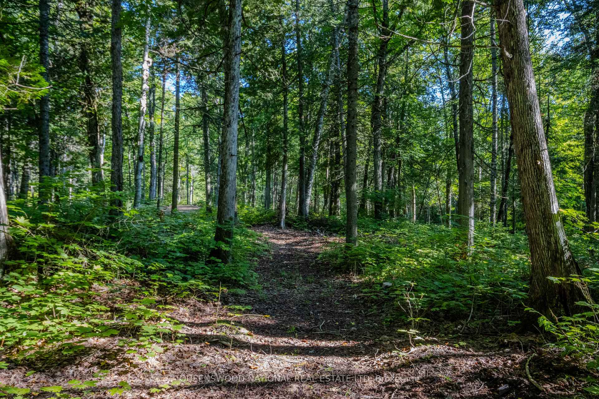 Photo 17 of 688 Prince Road E, Madawaska Valley, Madawaska Valley — HOMEH