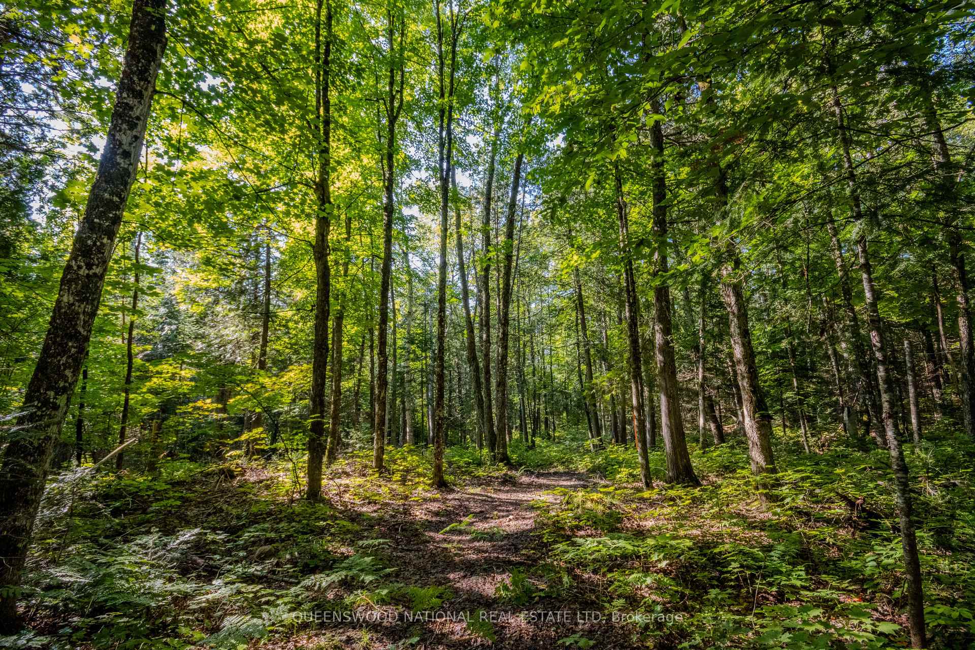 Photo 18 of 688 Prince Road E, Madawaska Valley, Madawaska Valley — HOMEH