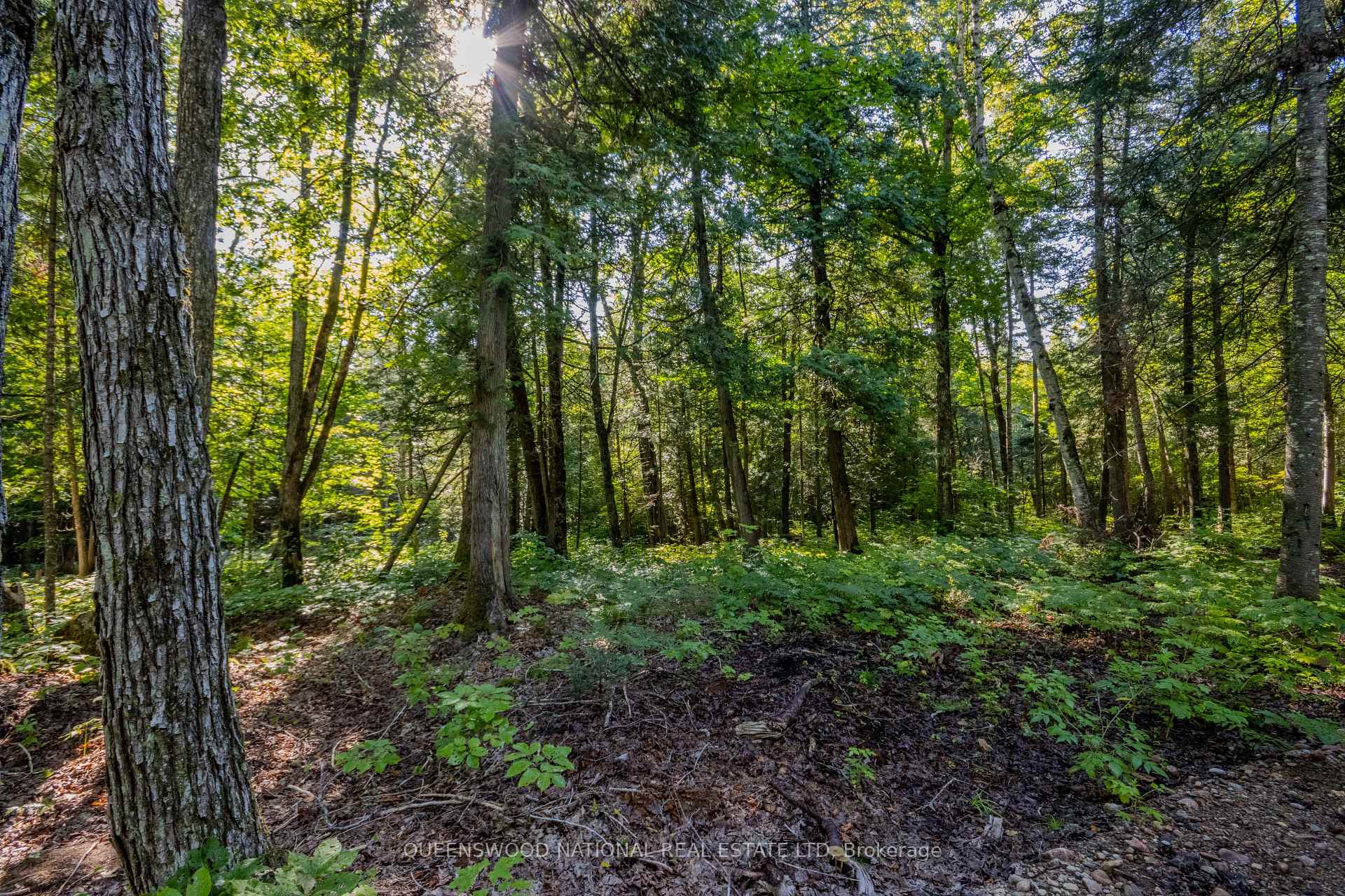 Photo 20 of 688 Prince Road E, Madawaska Valley, Madawaska Valley — HOMEH