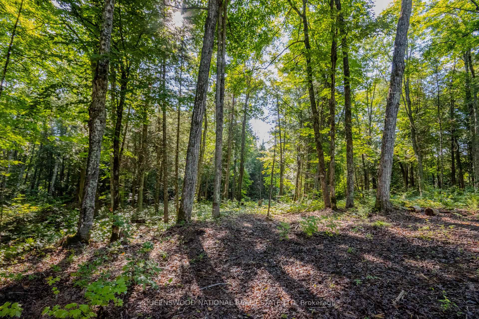 Photo 21 of 688 Prince Road E, Madawaska Valley, Madawaska Valley — HOMEH