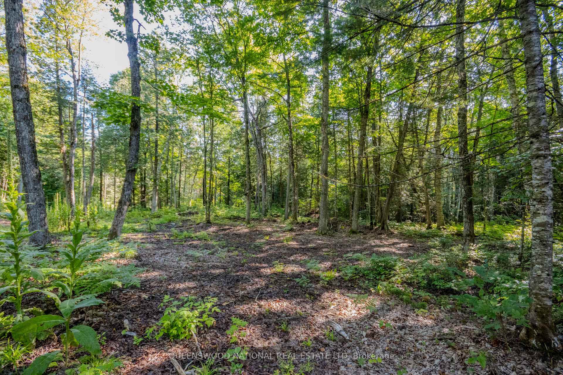 Photo 22 of 688 Prince Road E, Madawaska Valley, Madawaska Valley — HOMEH