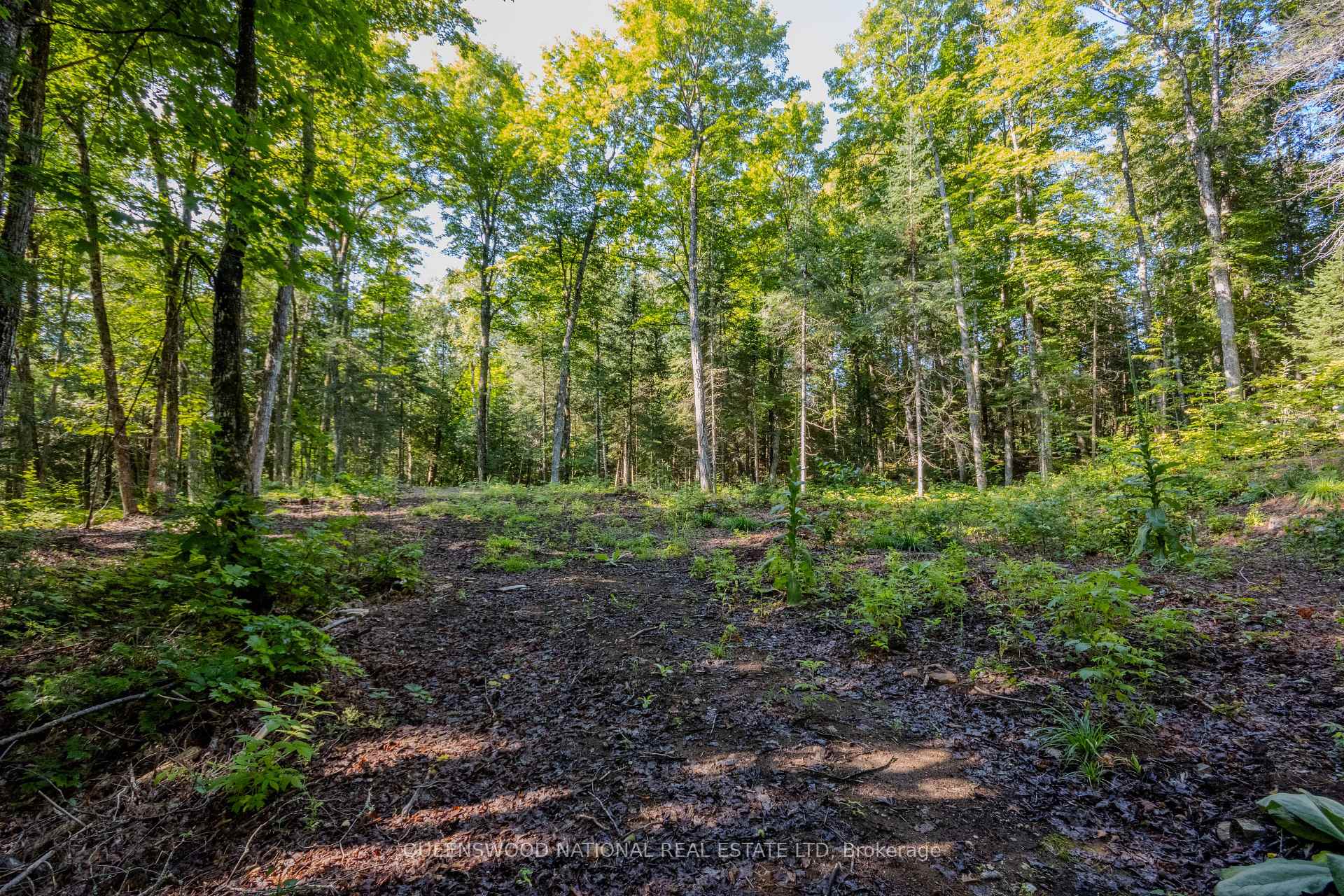 Photo 23 of 688 Prince Road E, Madawaska Valley, Madawaska Valley — HOMEH