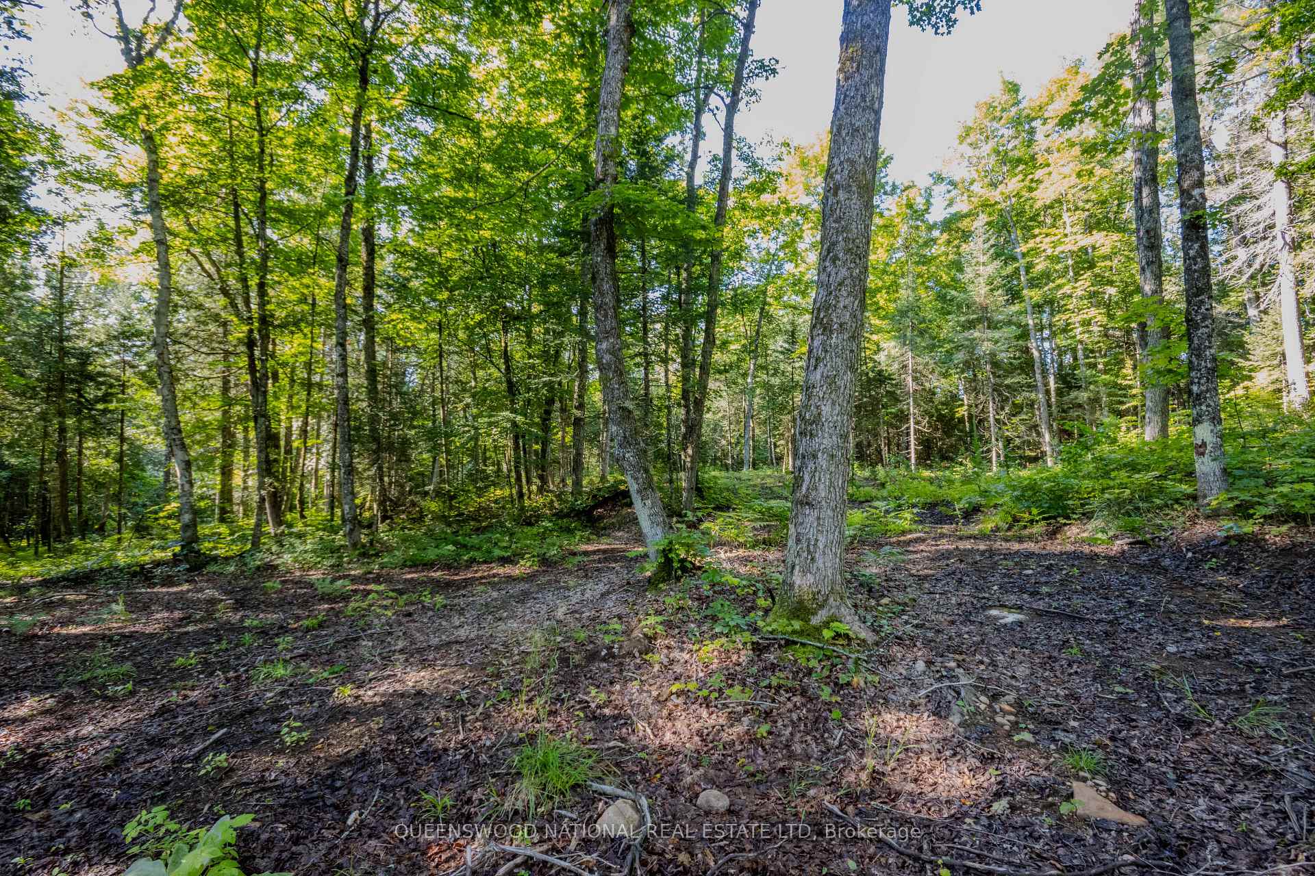 Photo 25 of 688 Prince Road E, Madawaska Valley, Madawaska Valley — HOMEH