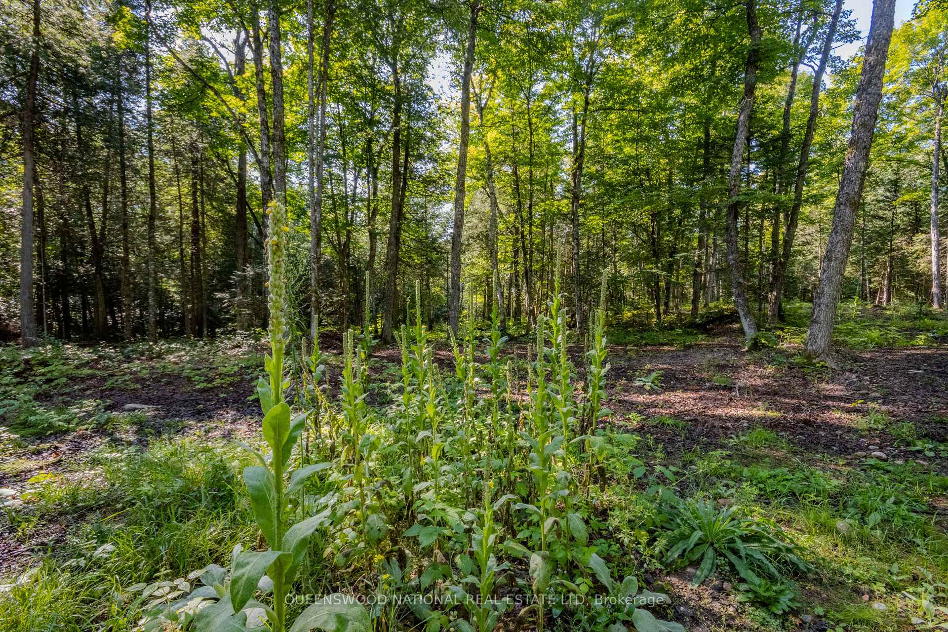 Photo 26 of 688 Prince Road E, Madawaska Valley, Madawaska Valley — HOMEH