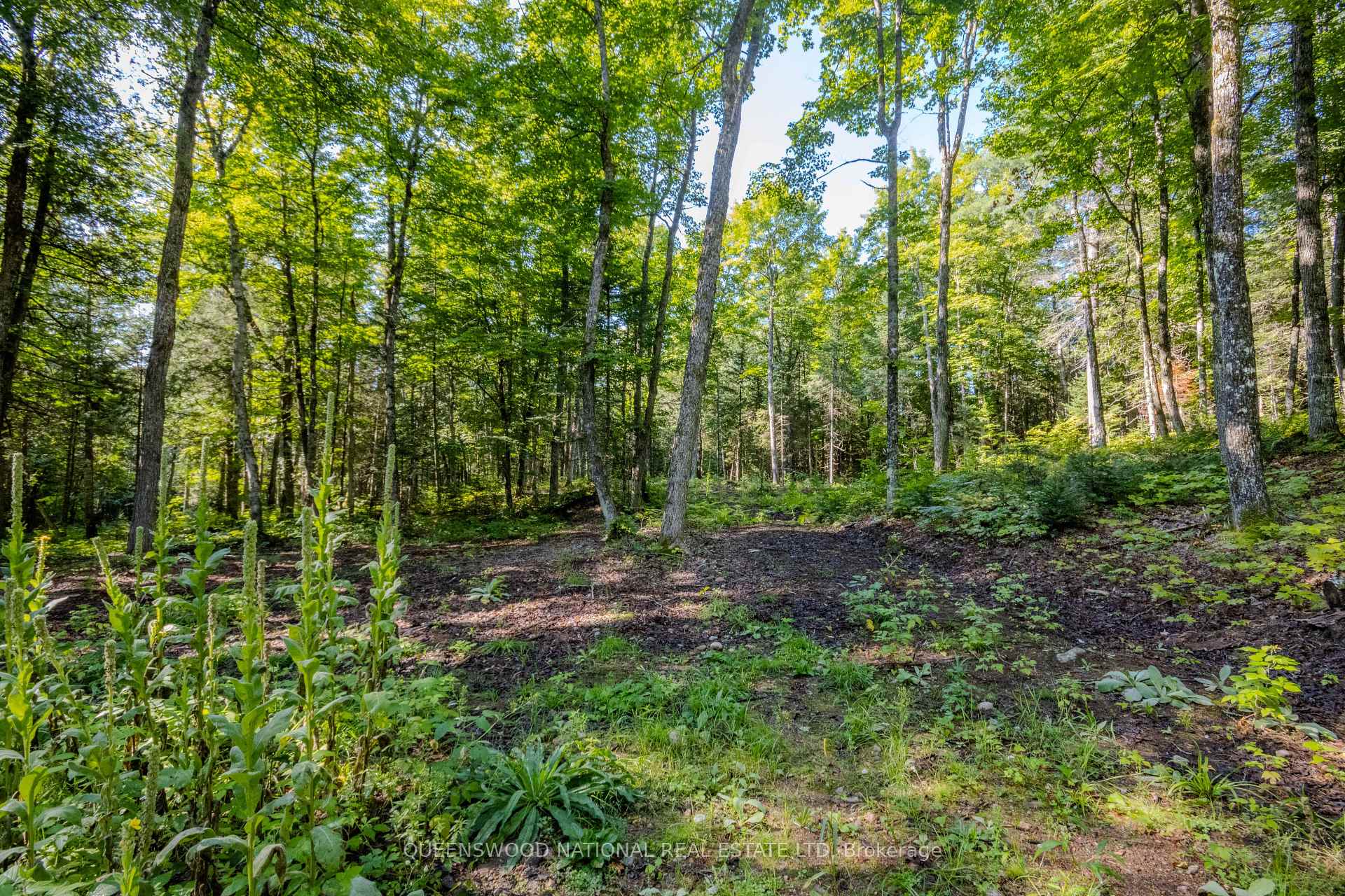 Photo 27 of 688 Prince Road E, Madawaska Valley, Madawaska Valley — HOMEH