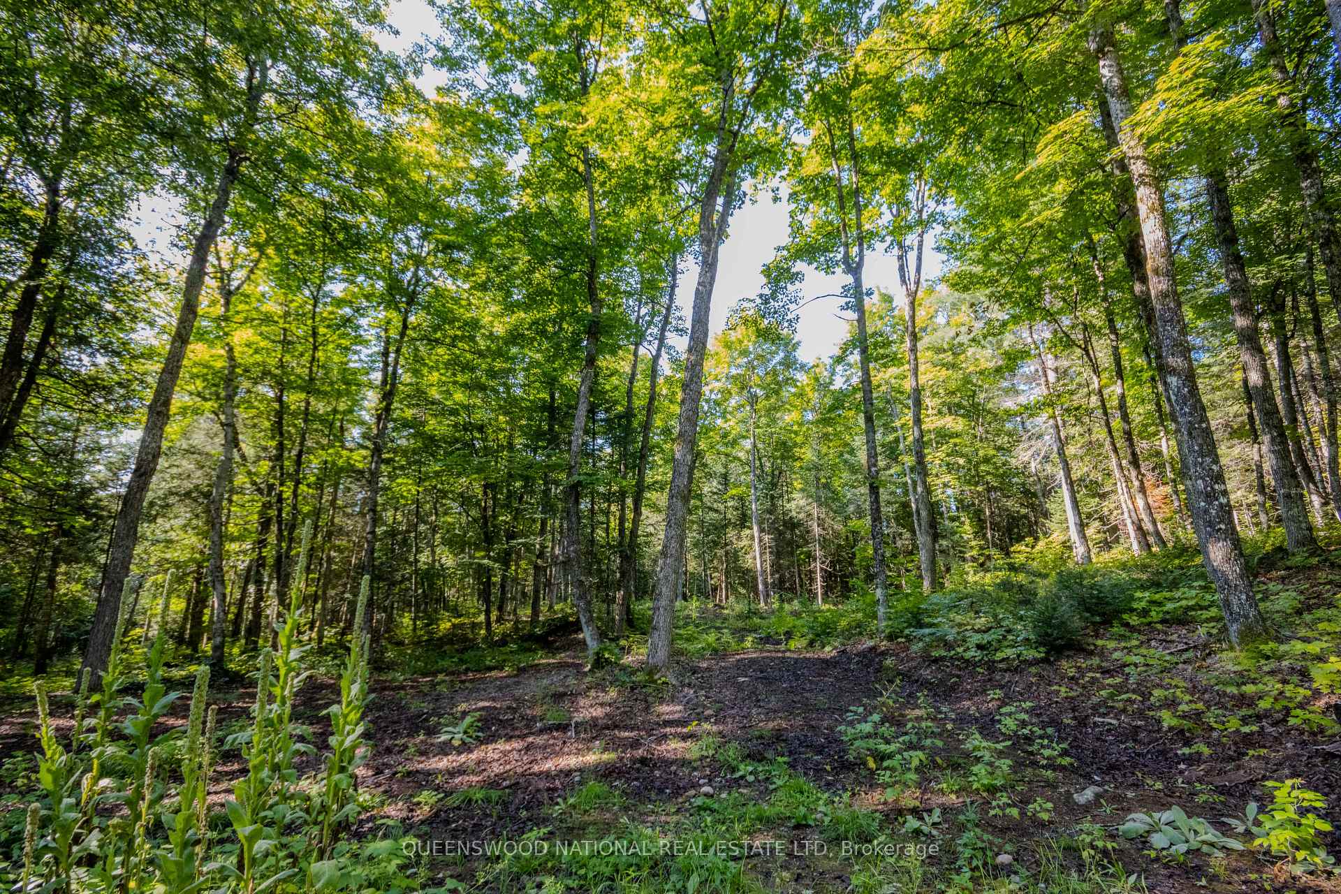 Photo 28 of 688 Prince Road E, Madawaska Valley, Madawaska Valley — HOMEH