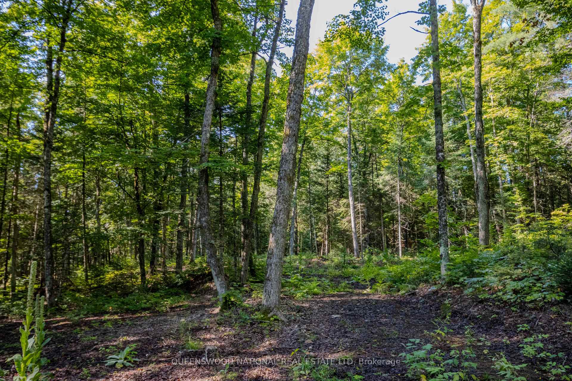Photo 30 of 688 Prince Road E, Madawaska Valley, Madawaska Valley — HOMEH