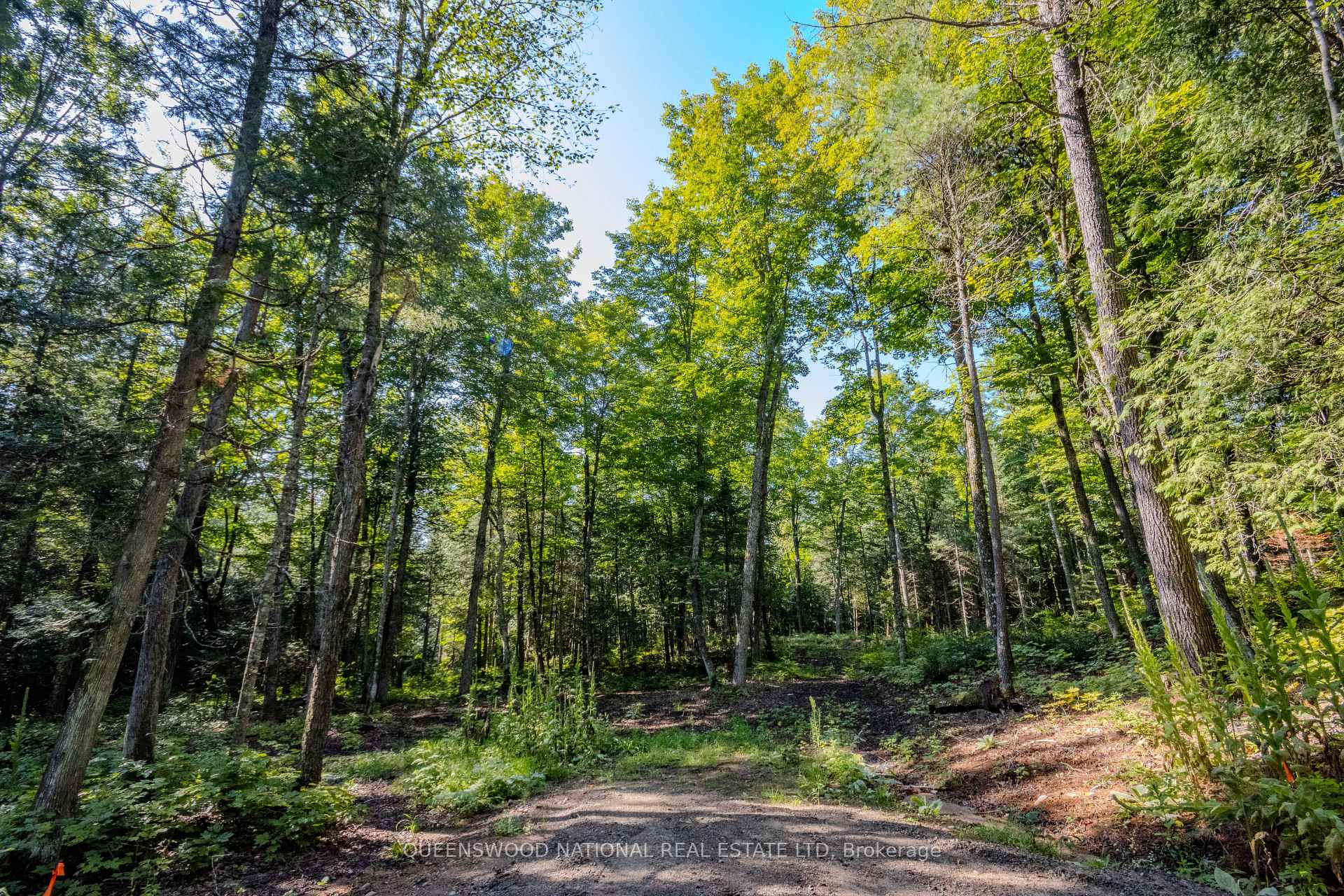Photo 32 of 688 Prince Road E, Madawaska Valley, Madawaska Valley — HOMEH