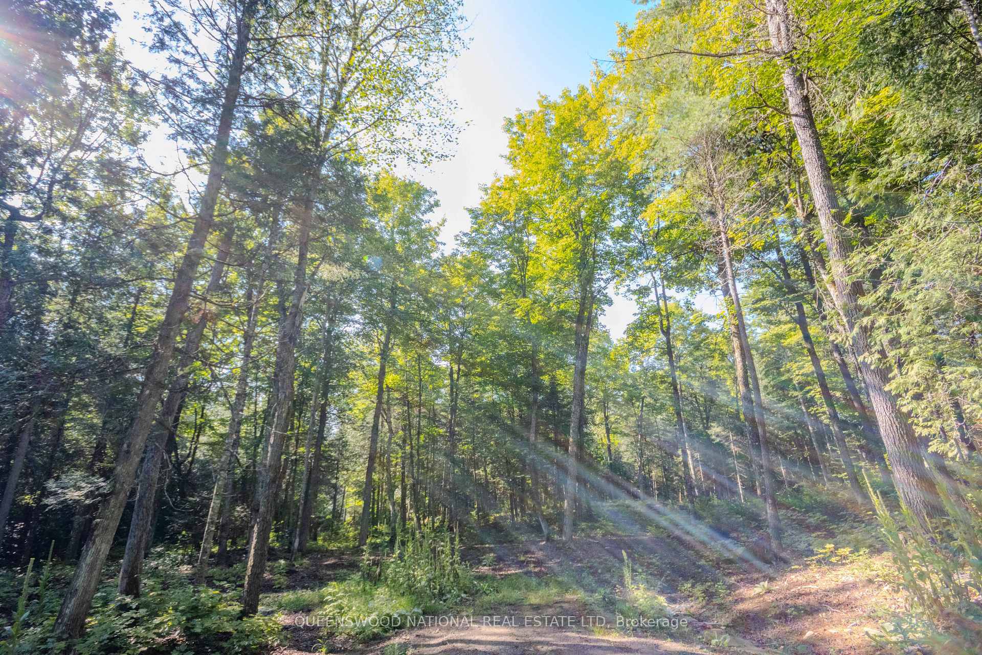 Photo 33 of 688 Prince Road E, Madawaska Valley, Madawaska Valley — HOMEH