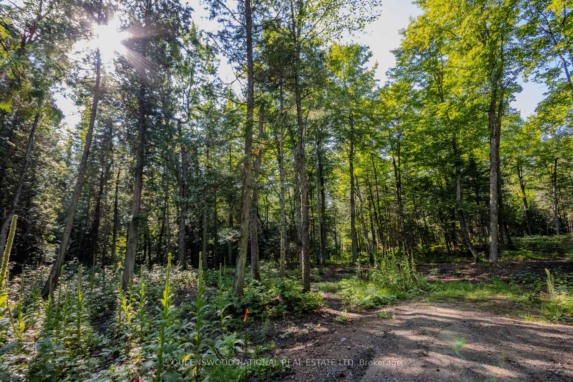 Photo 34 of 688 Prince Road E, Madawaska Valley, Madawaska Valley — HOMEH